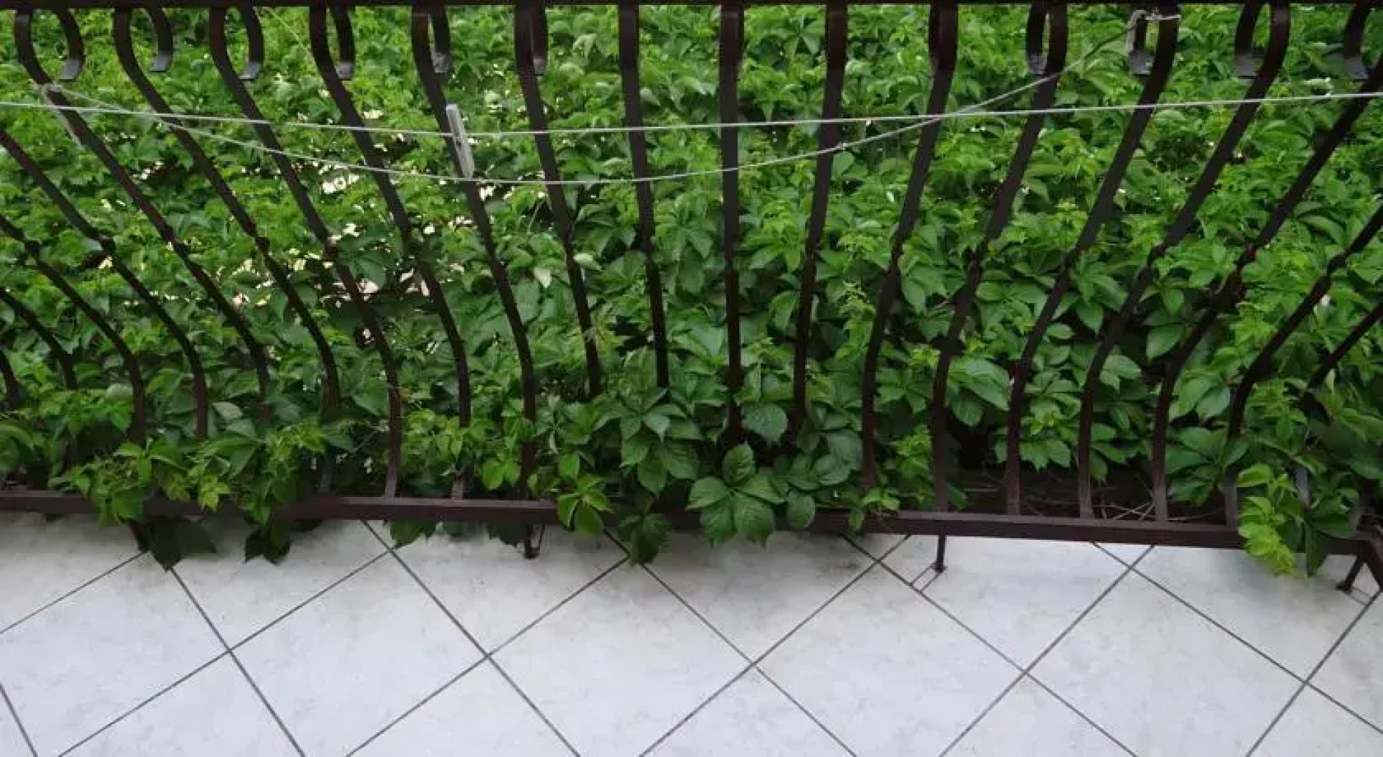 Apartmani Severin Mrsić