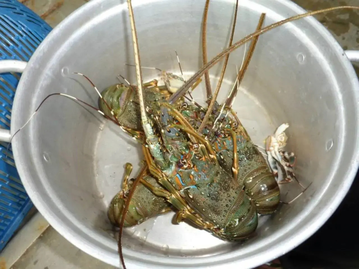 7th Wave Beach House