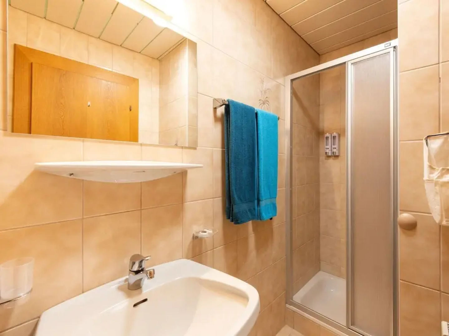 Great Apartment Near the ski Area