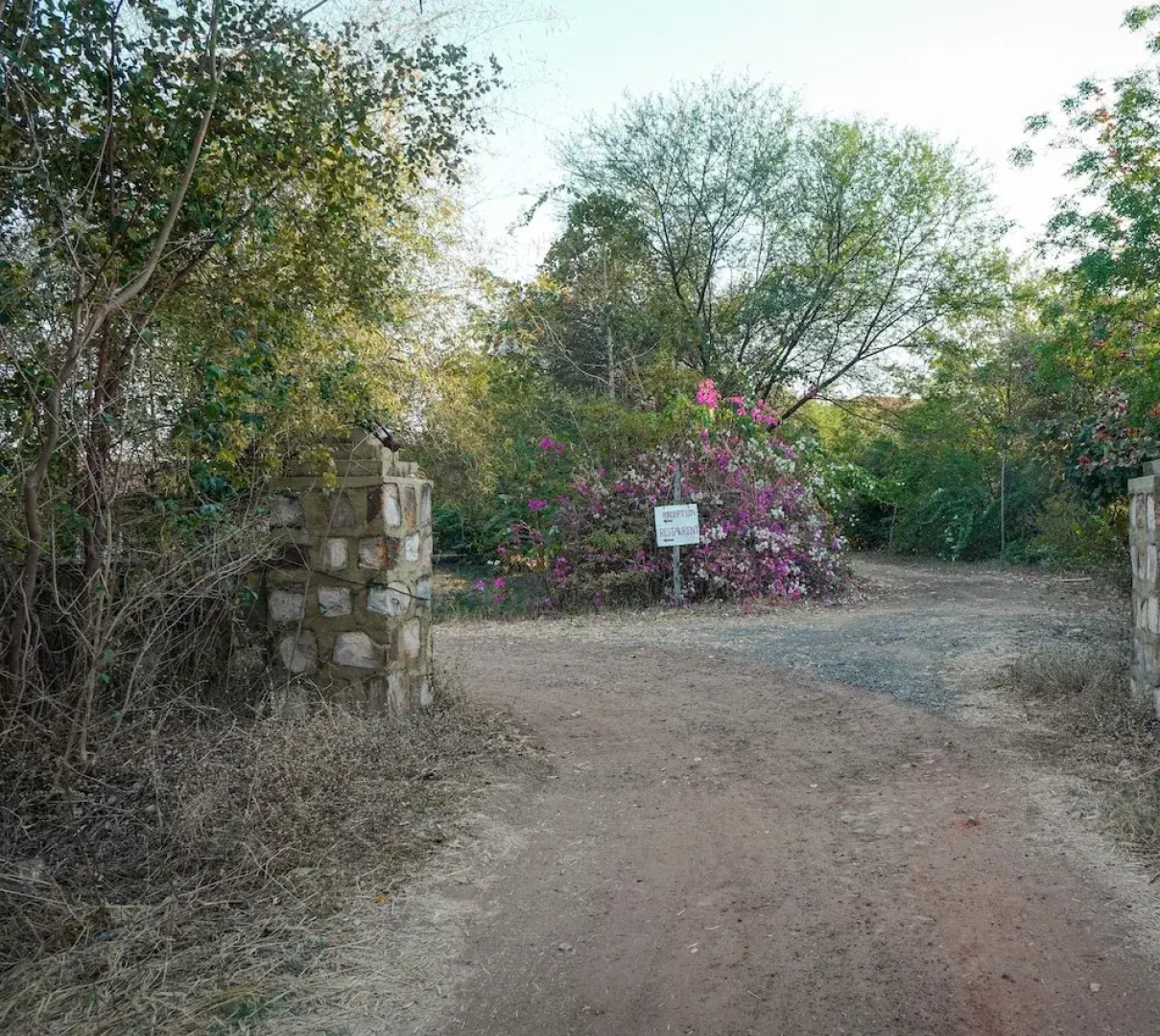 Mahua Tola Tadoba