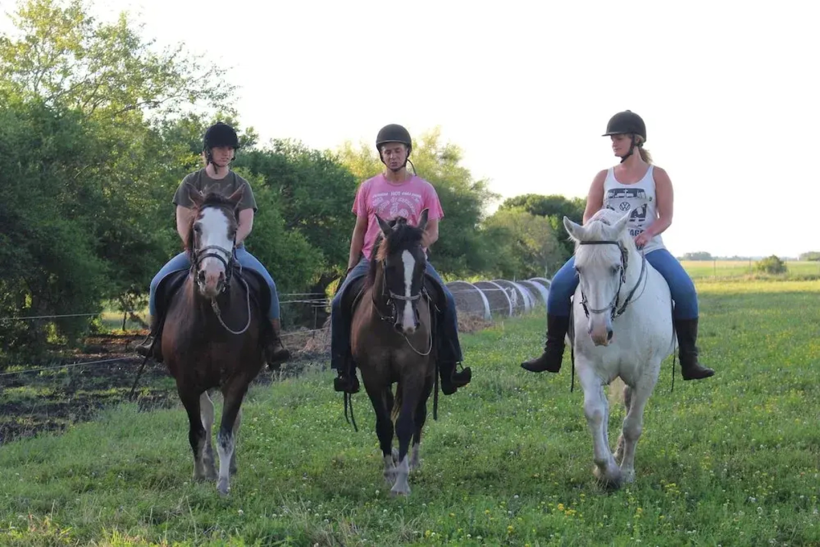 El Galope Horse Farm & Hostel