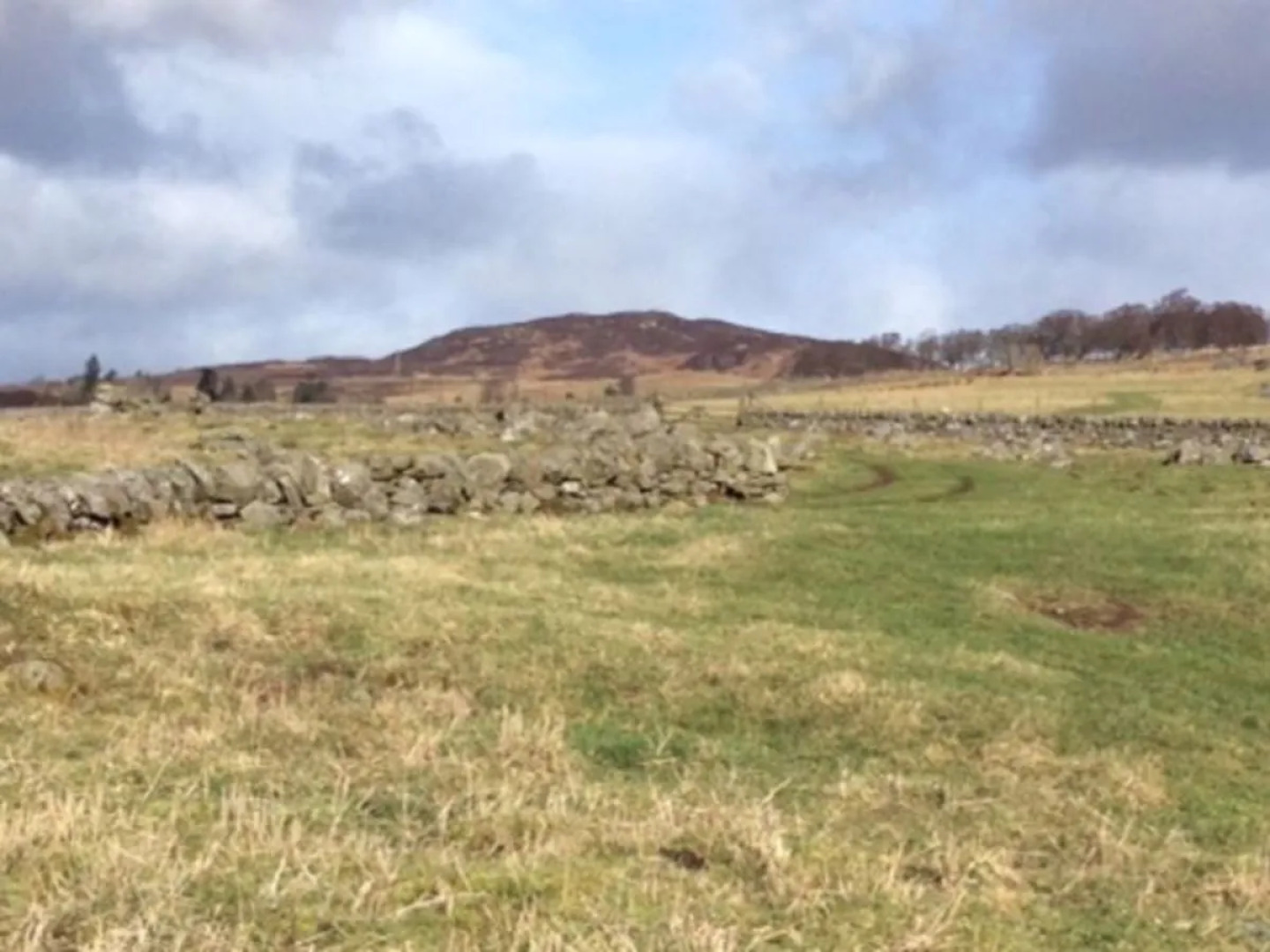 House Leduckie Dunkeld