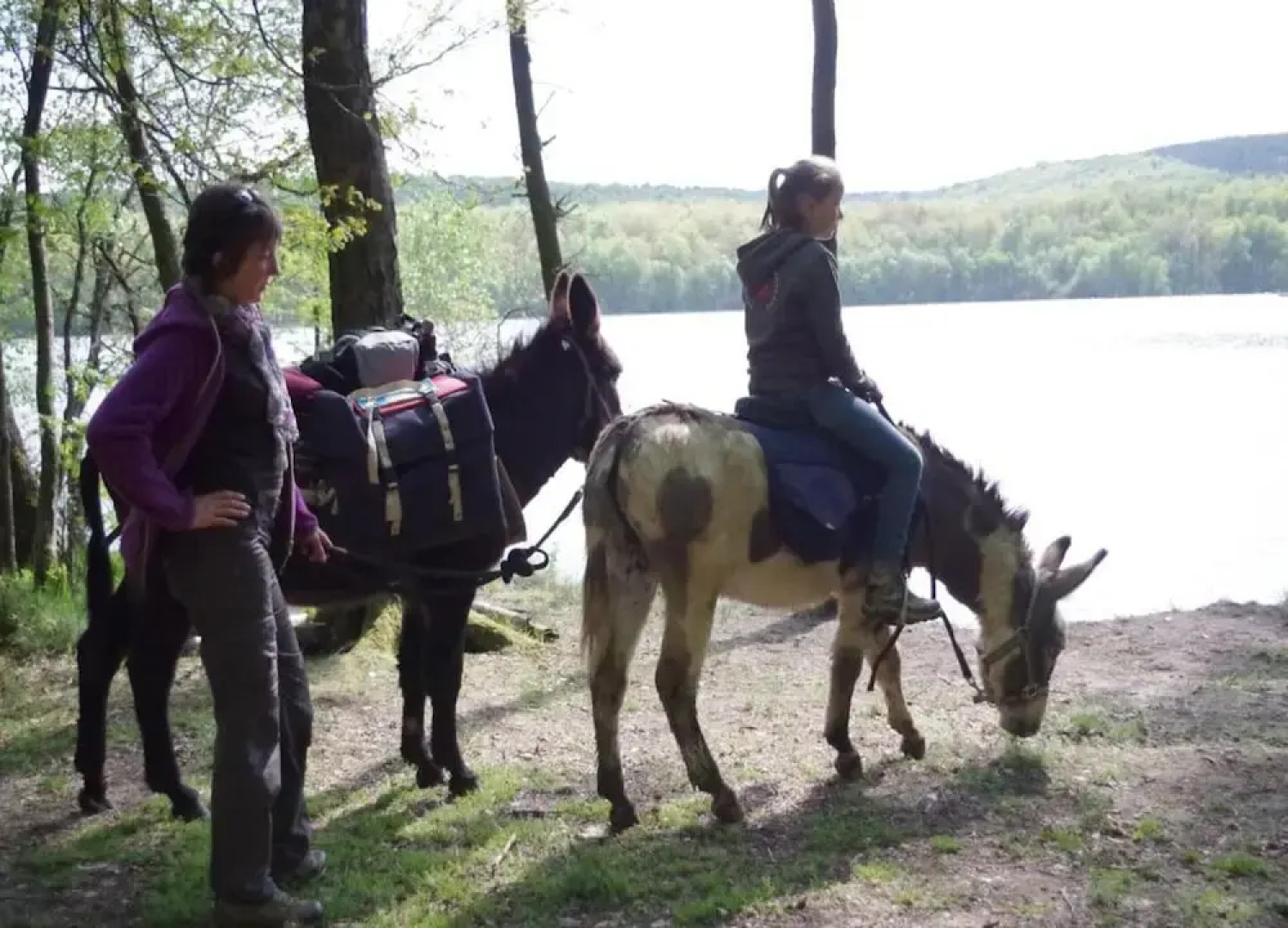 Charming Apartment in Ardennes