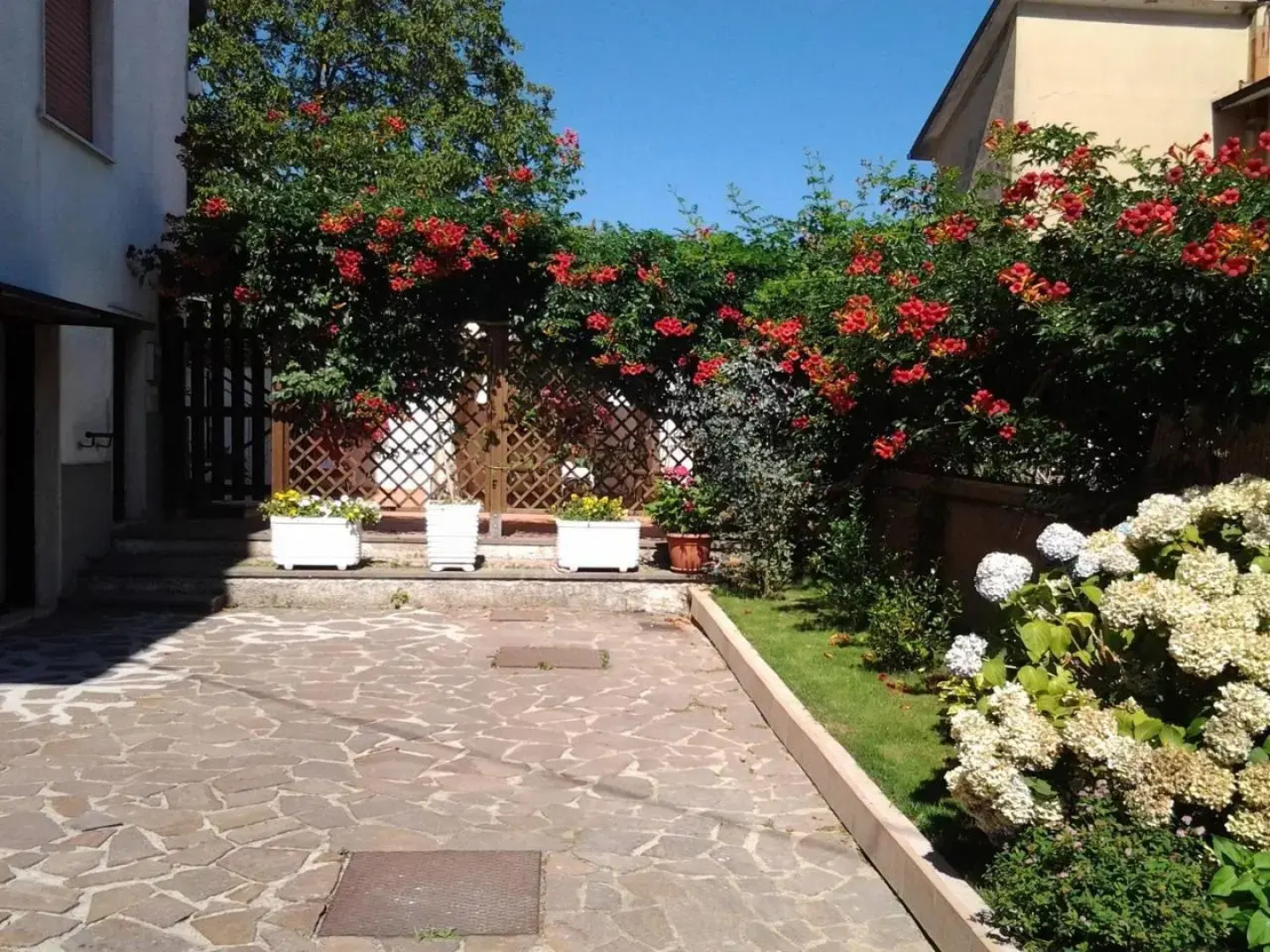 La terrazza di Elena