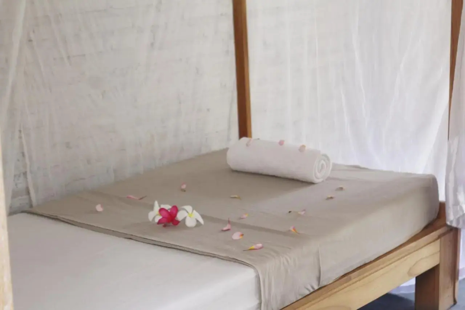 Surfer House-Surf School & Camp