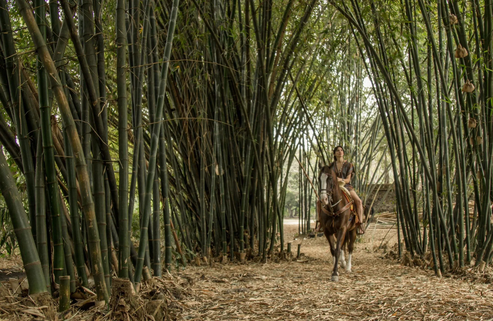Hacienda San Gabriel de las Palmas