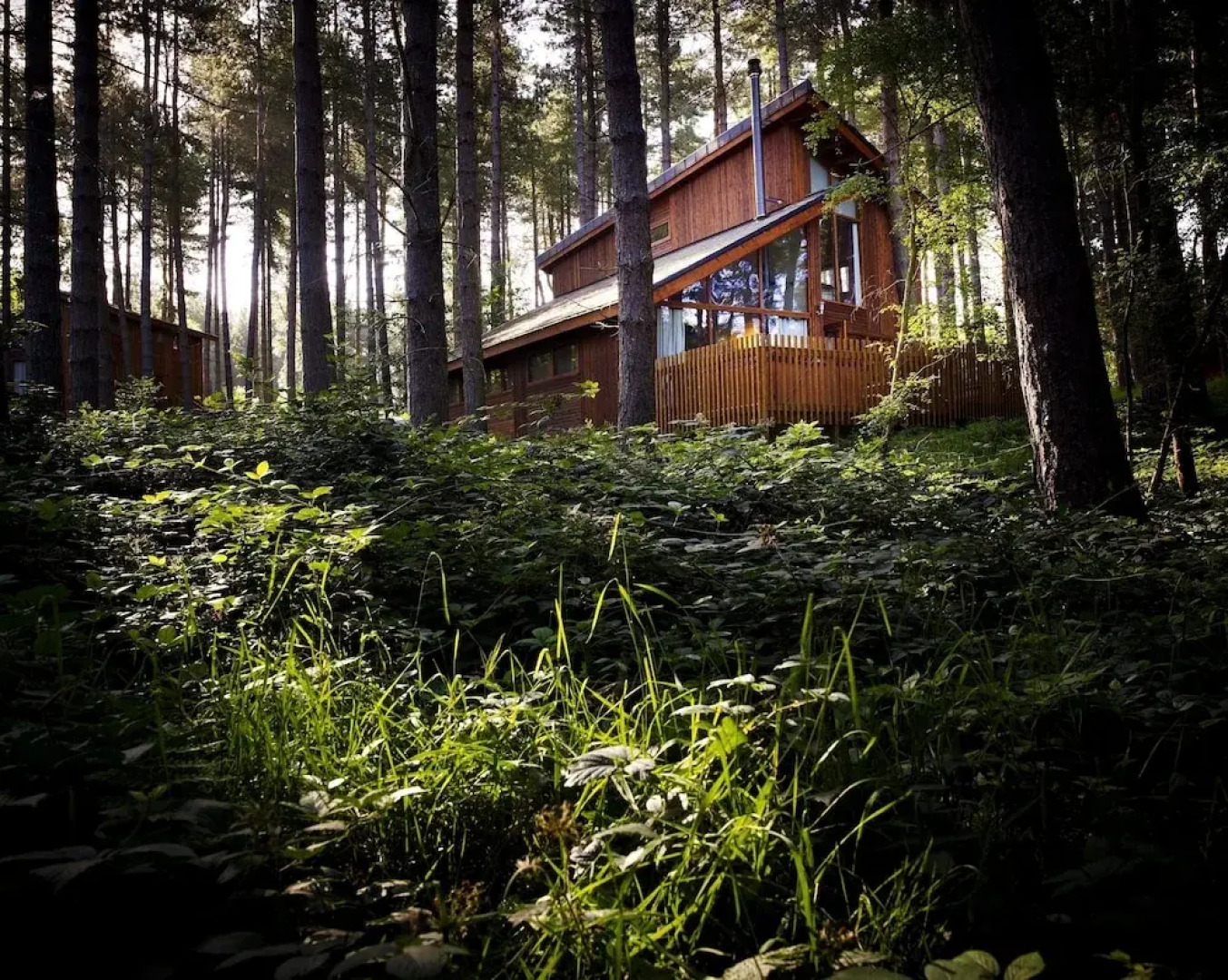 Forest Holidays Sherwood Forest