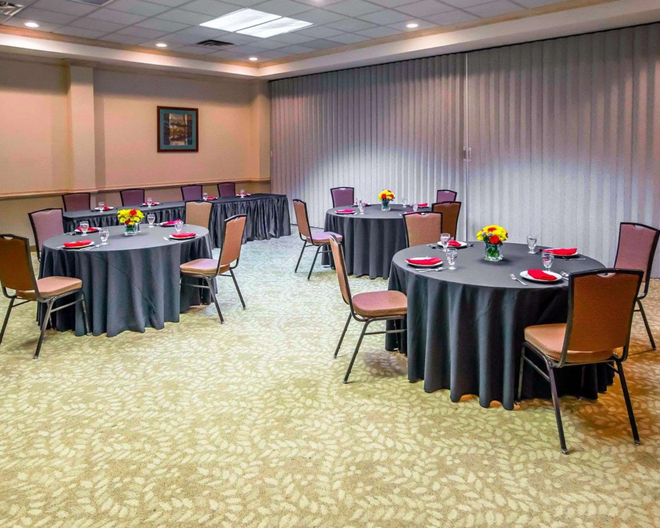 Comfort Suites University Area Notre Dame - South Bend