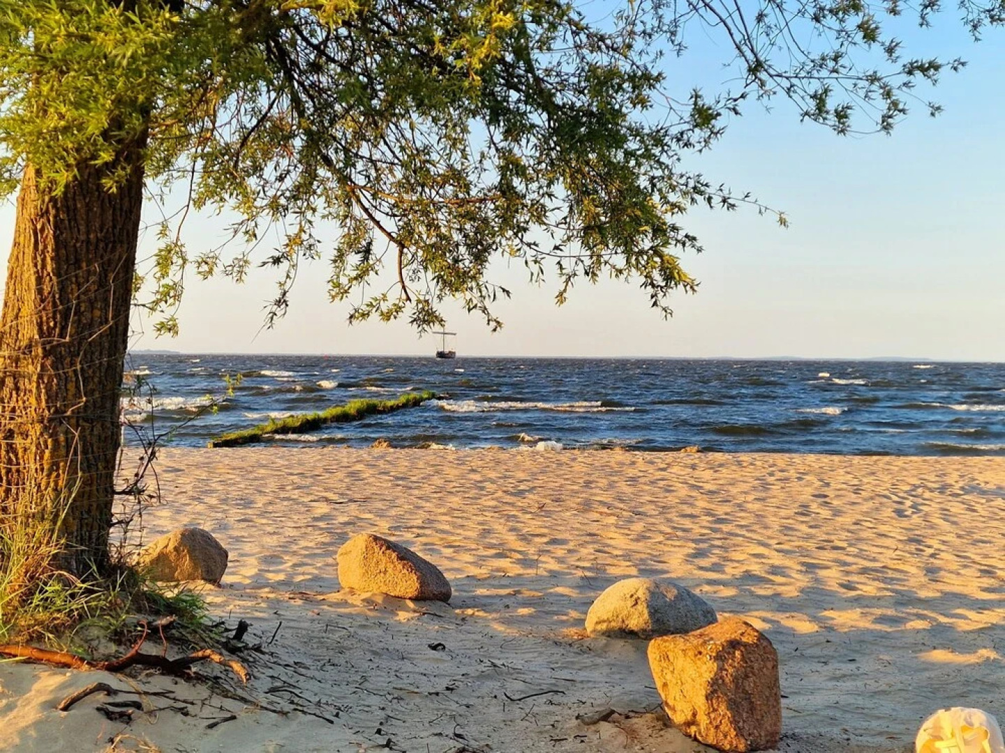 Hotel Am Markt & Brauhaus Stadtkrug