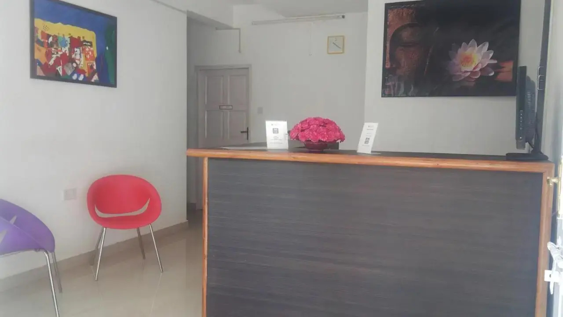 Macedo Palms Lemonmint