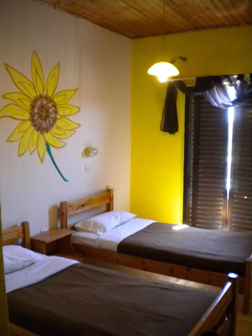 Comfy Hostel Studios