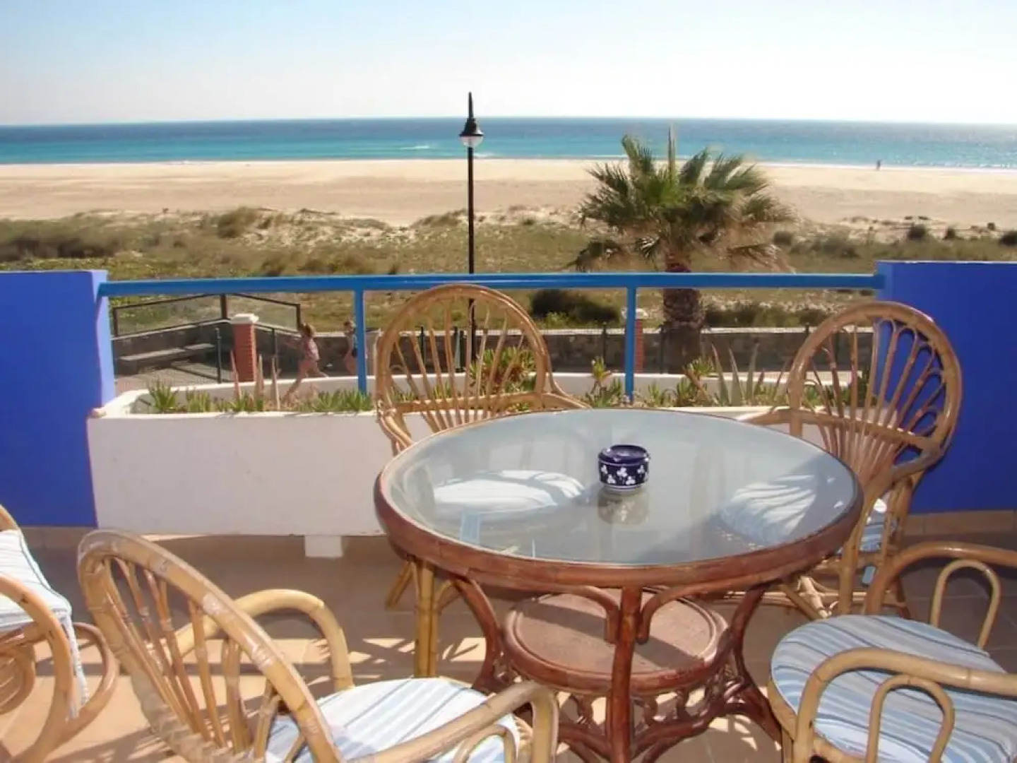 Livingtarifa - Tortugas