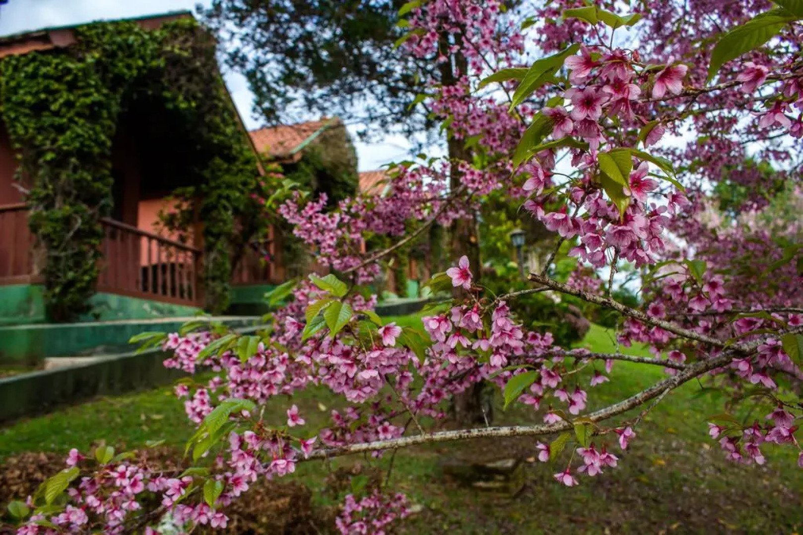 Pousada O Montanhês