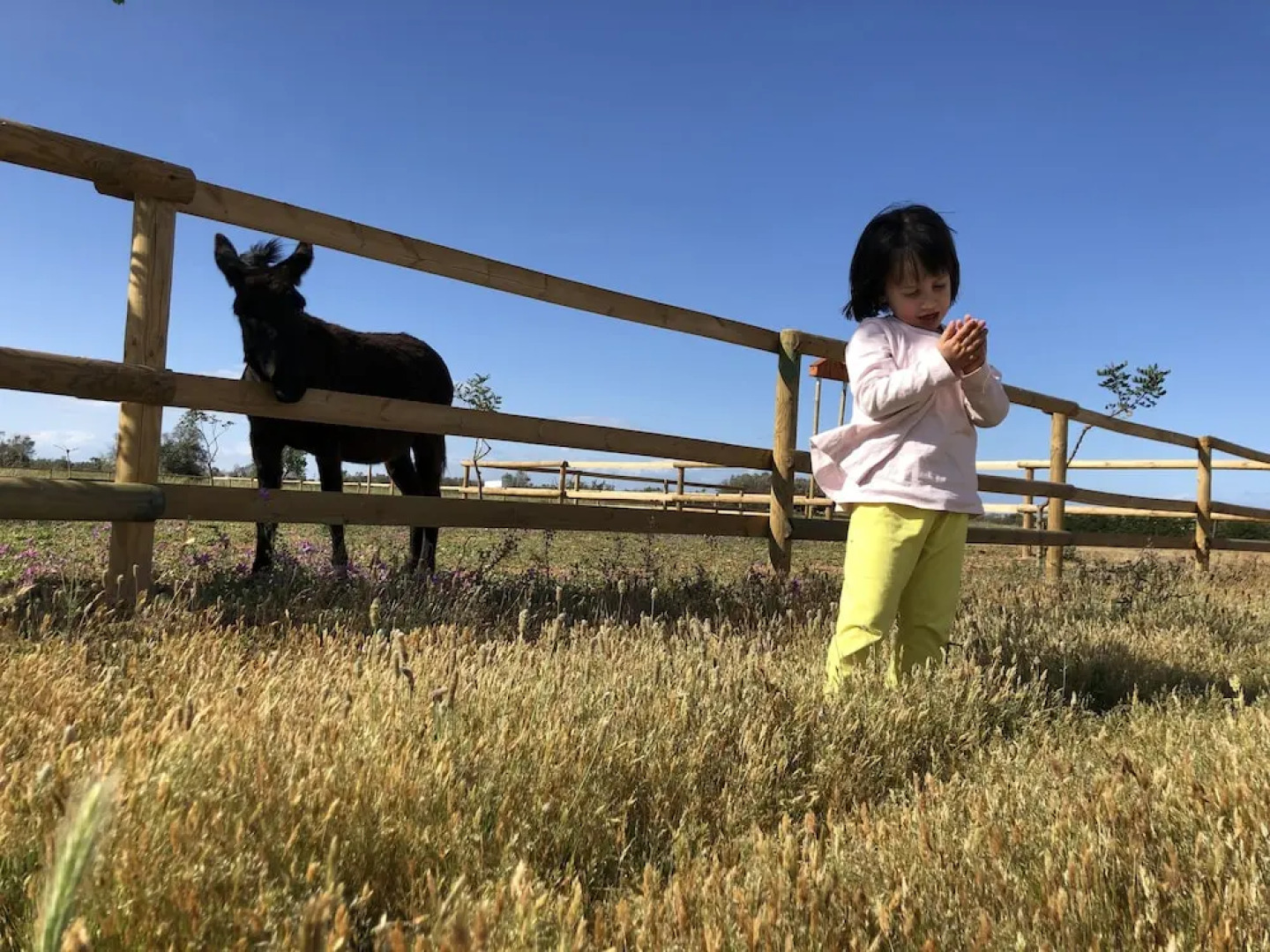 Agriturismo Masseria Galatea