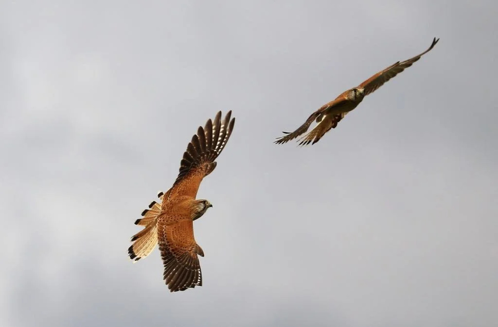 Stony Creek Farm Bed and Breakfast