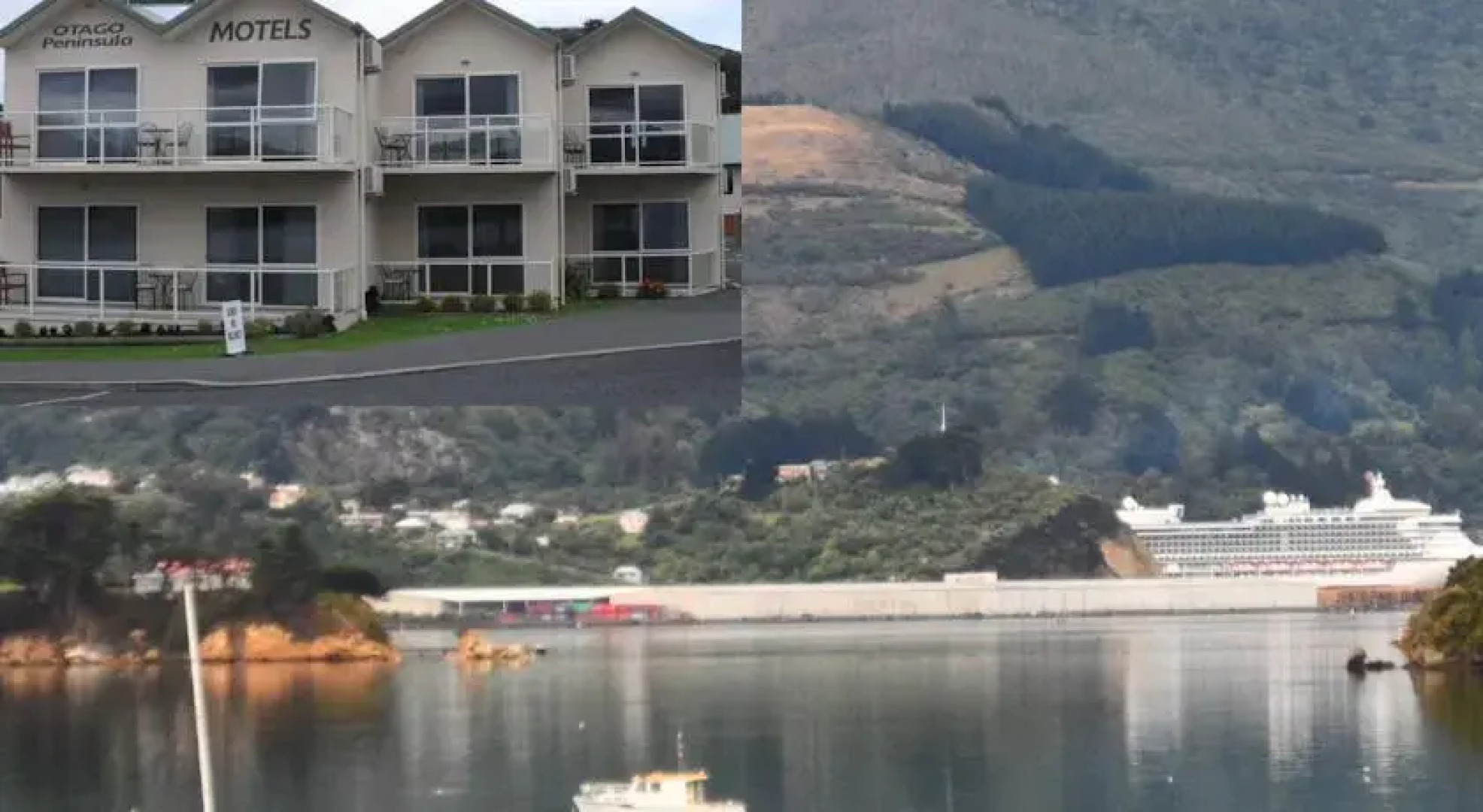 Otago Peninsula Motel