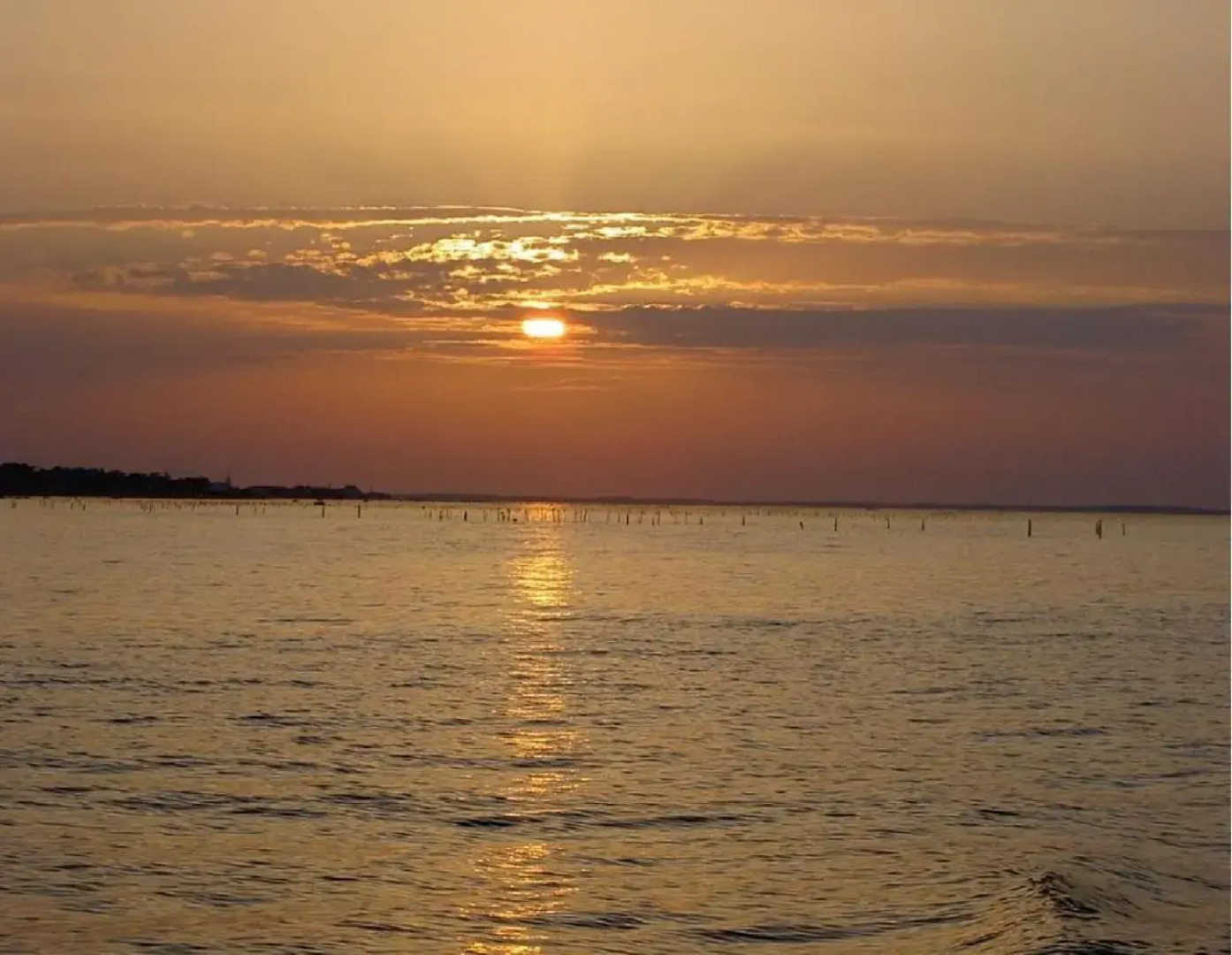 Gîte Proche du Bassin d'Arcachon