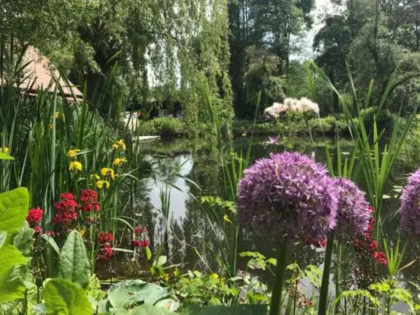 Ferienwohnungen direkt am Wasser