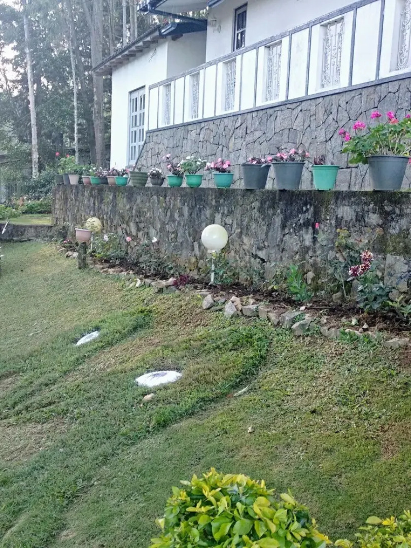 Windsor Forest Bungalow