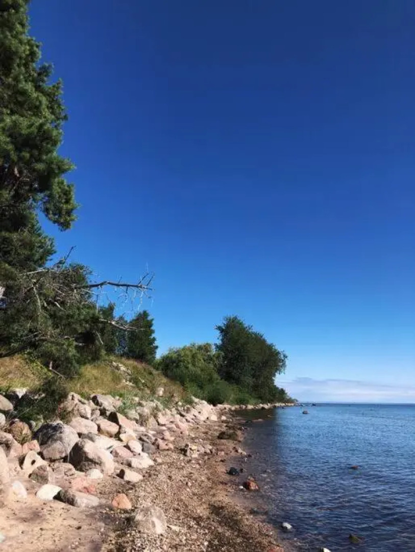 Albatross Weekend: seaside apartment with a sunny terrace