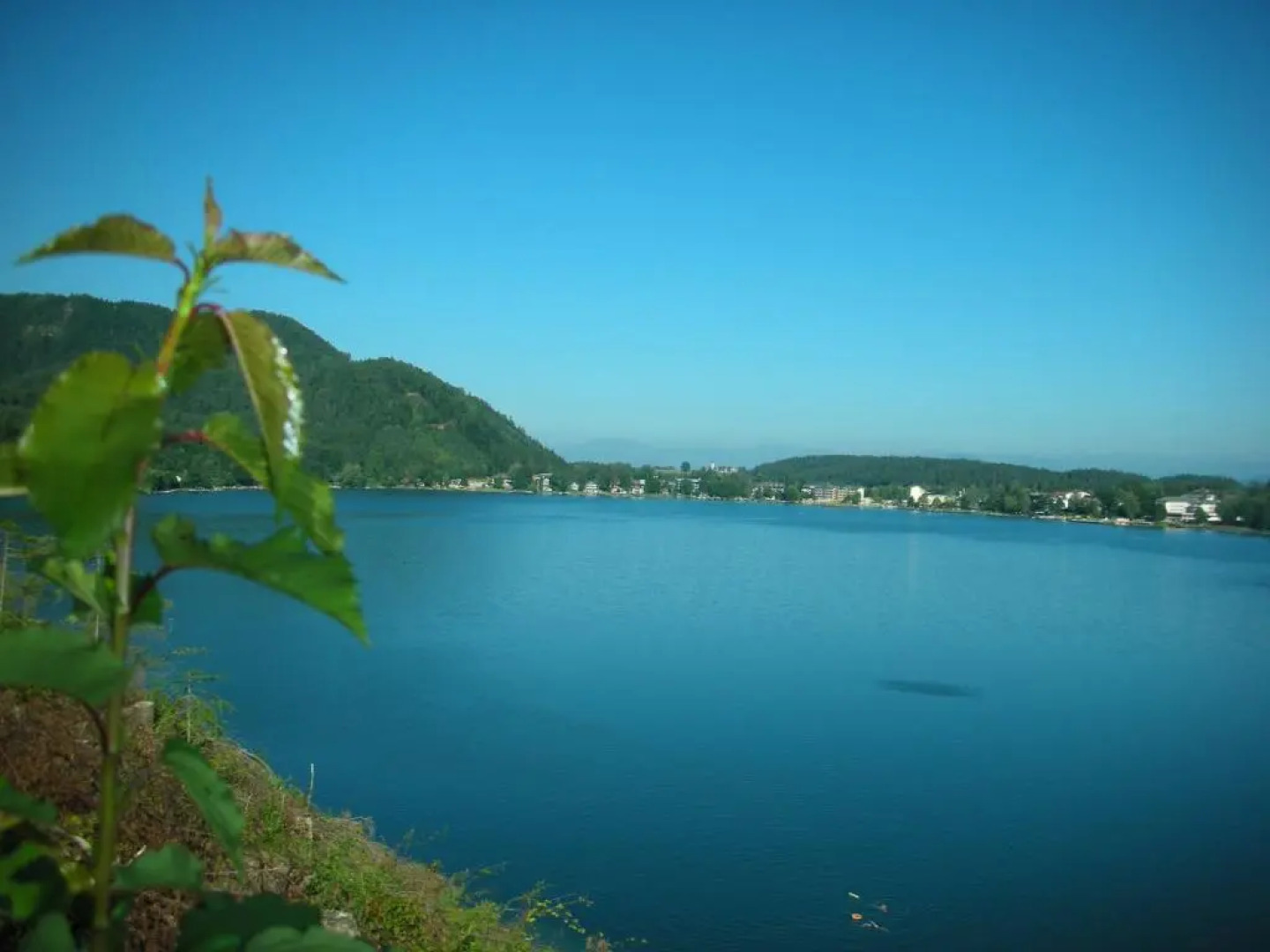 Appartements - Pension Peter