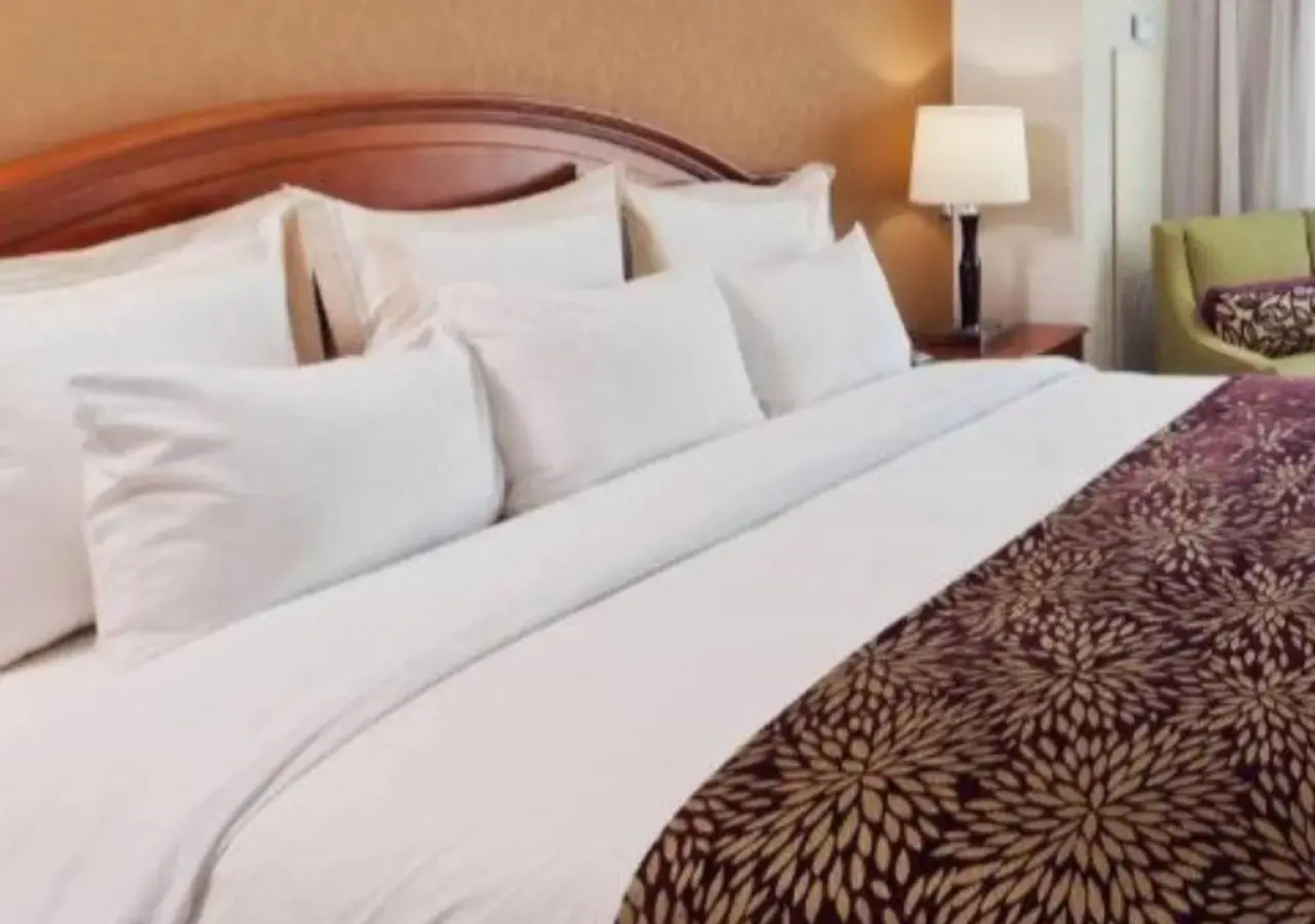 Marriott Denver South at Park Meadows