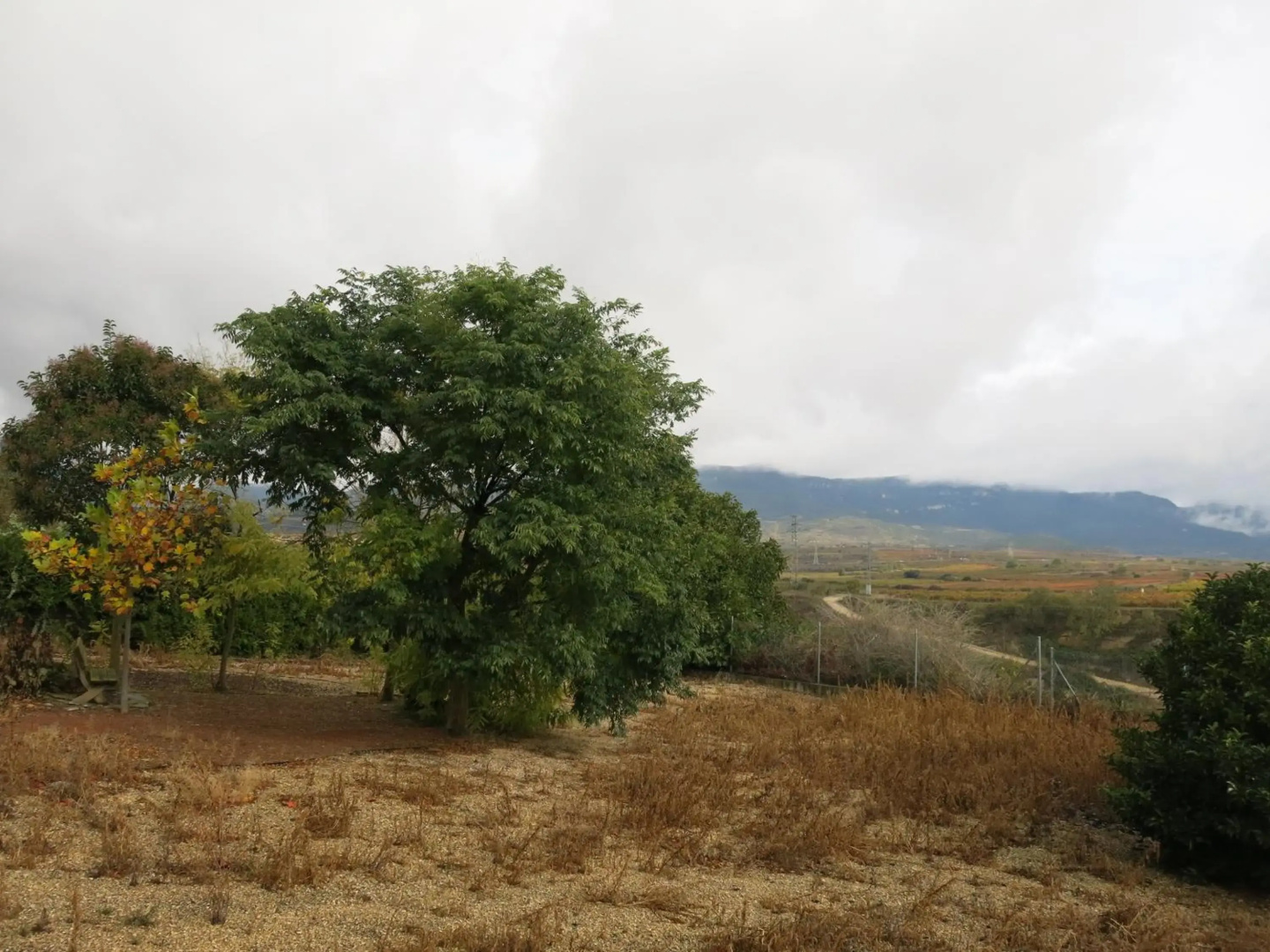 75 Avenida de la Rioja