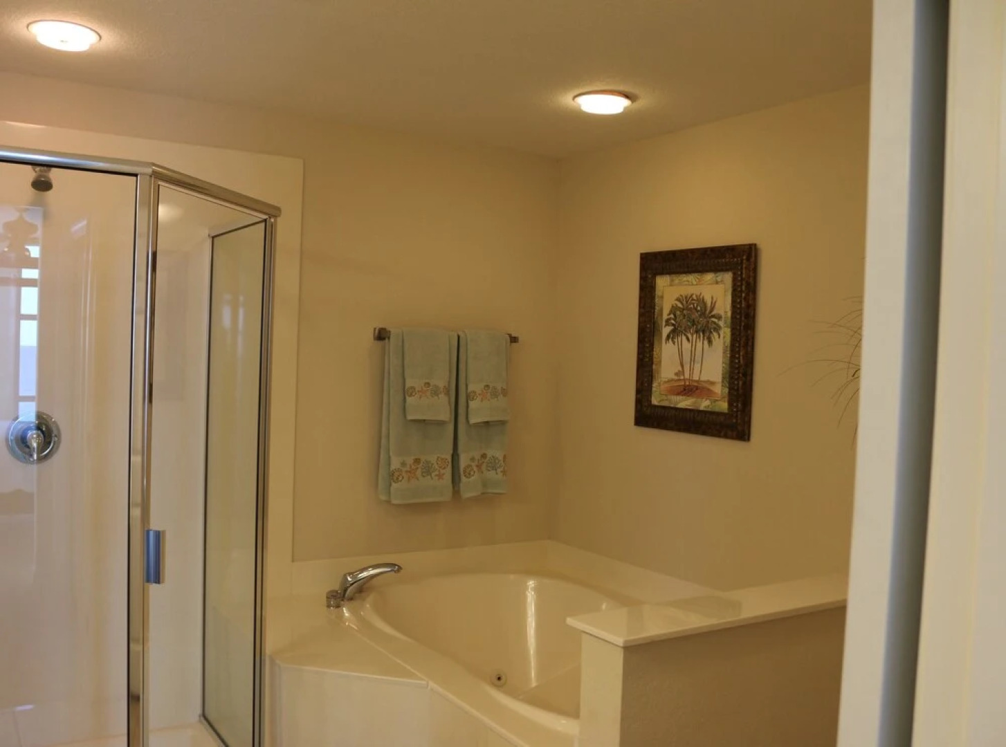 Emerald Dolphin by Surfside VR