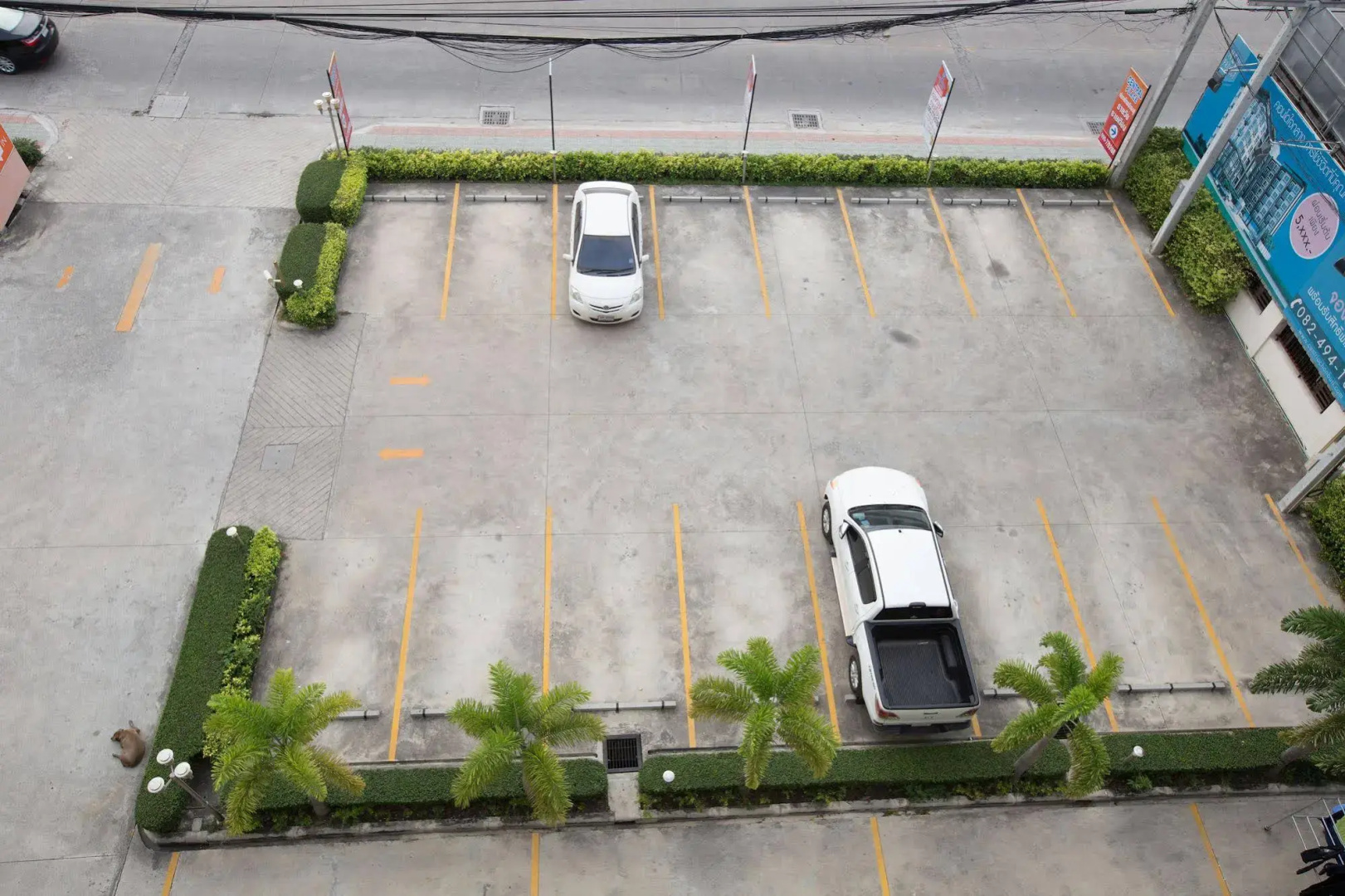 Central Place Serviced Apartment