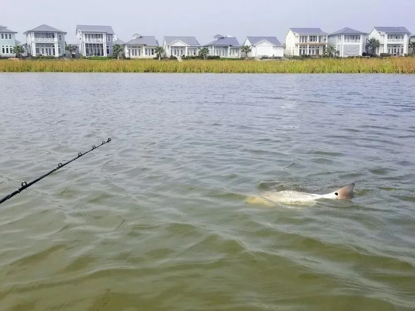 Reserve Lane Home 3 Bedrooms 2 Bathrooms Home