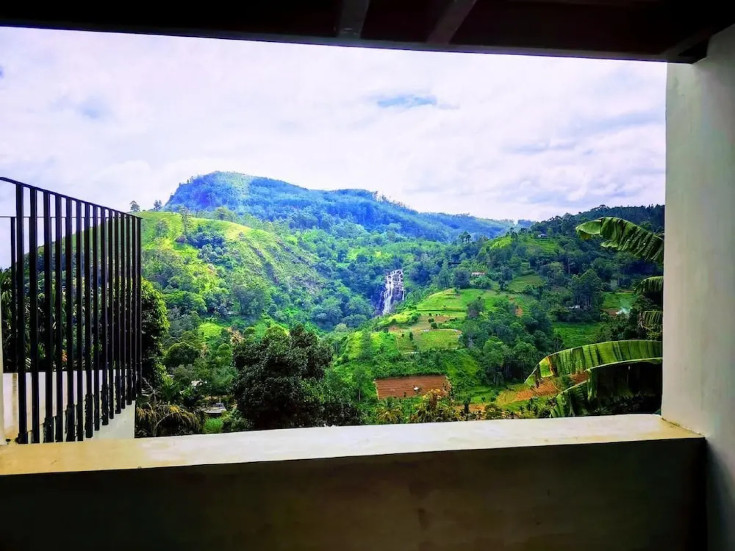 Ella Nature View