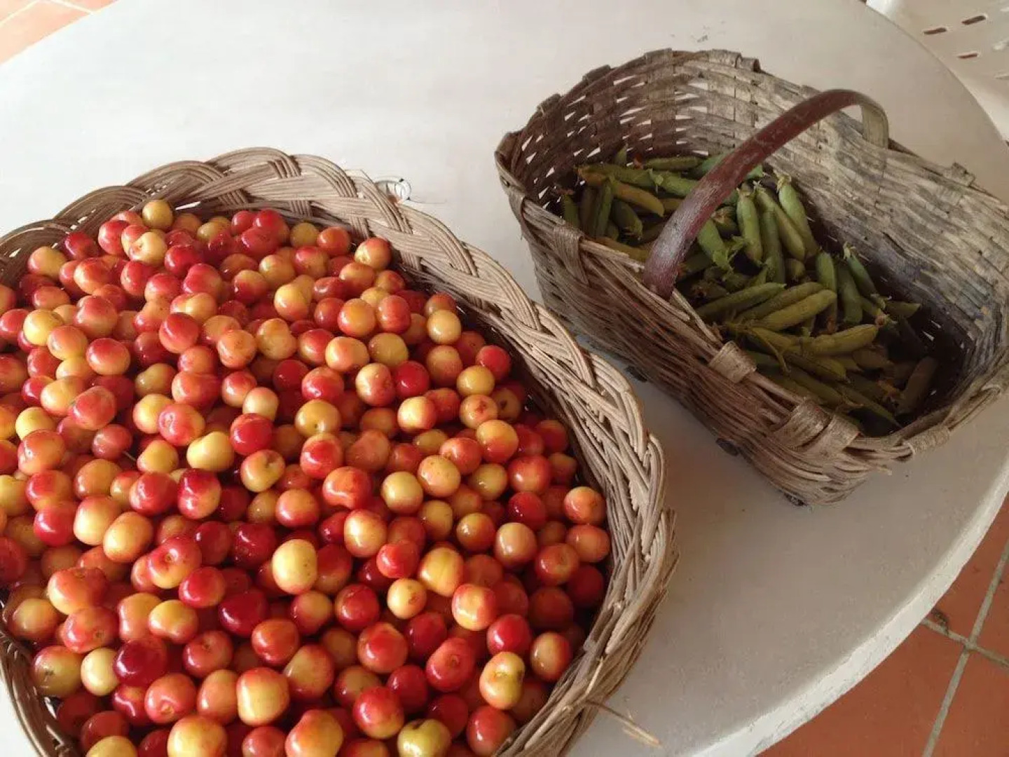 B&B Cascina Sant'Elena