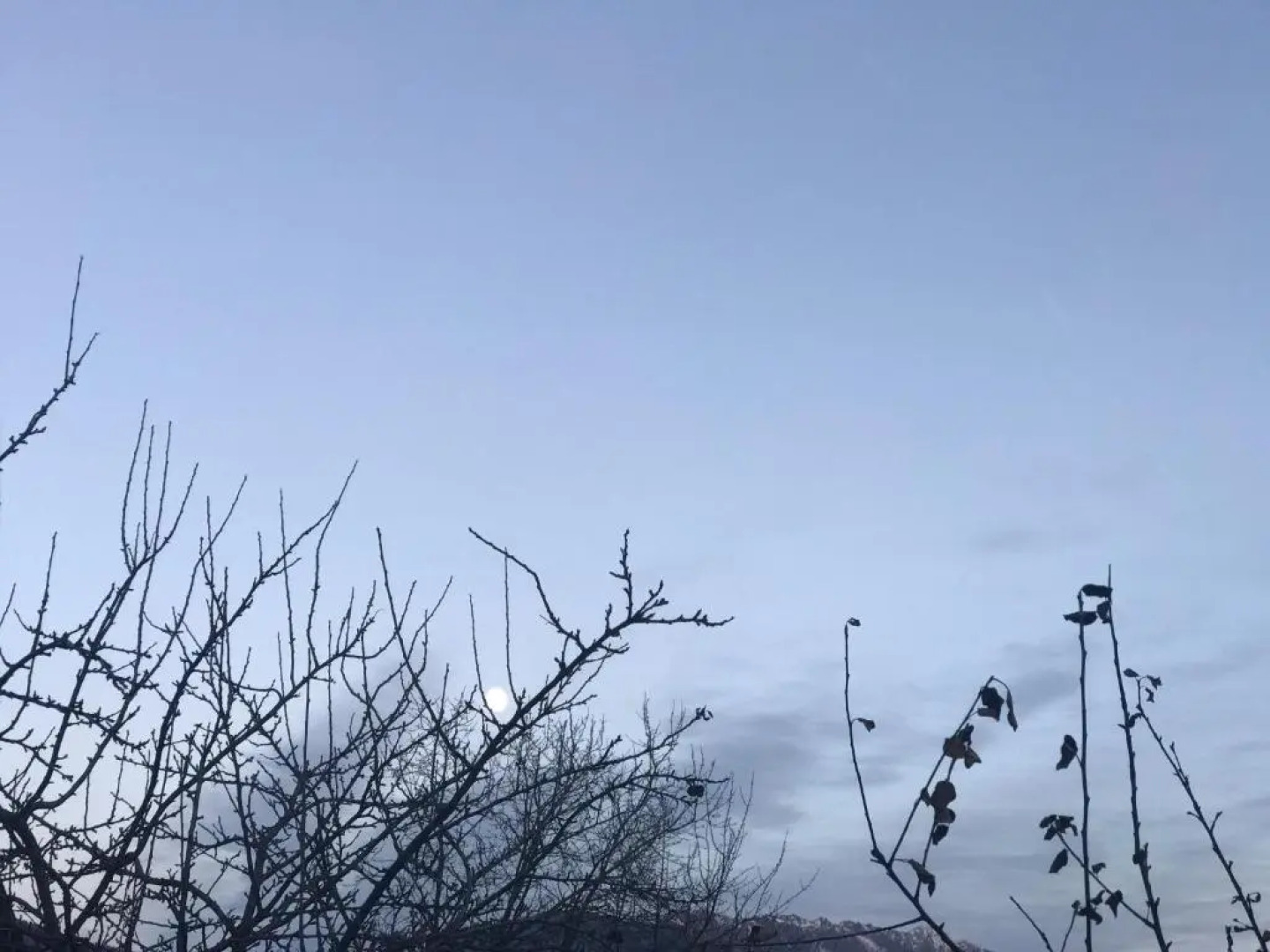 Ferienwohnung Mountaintop