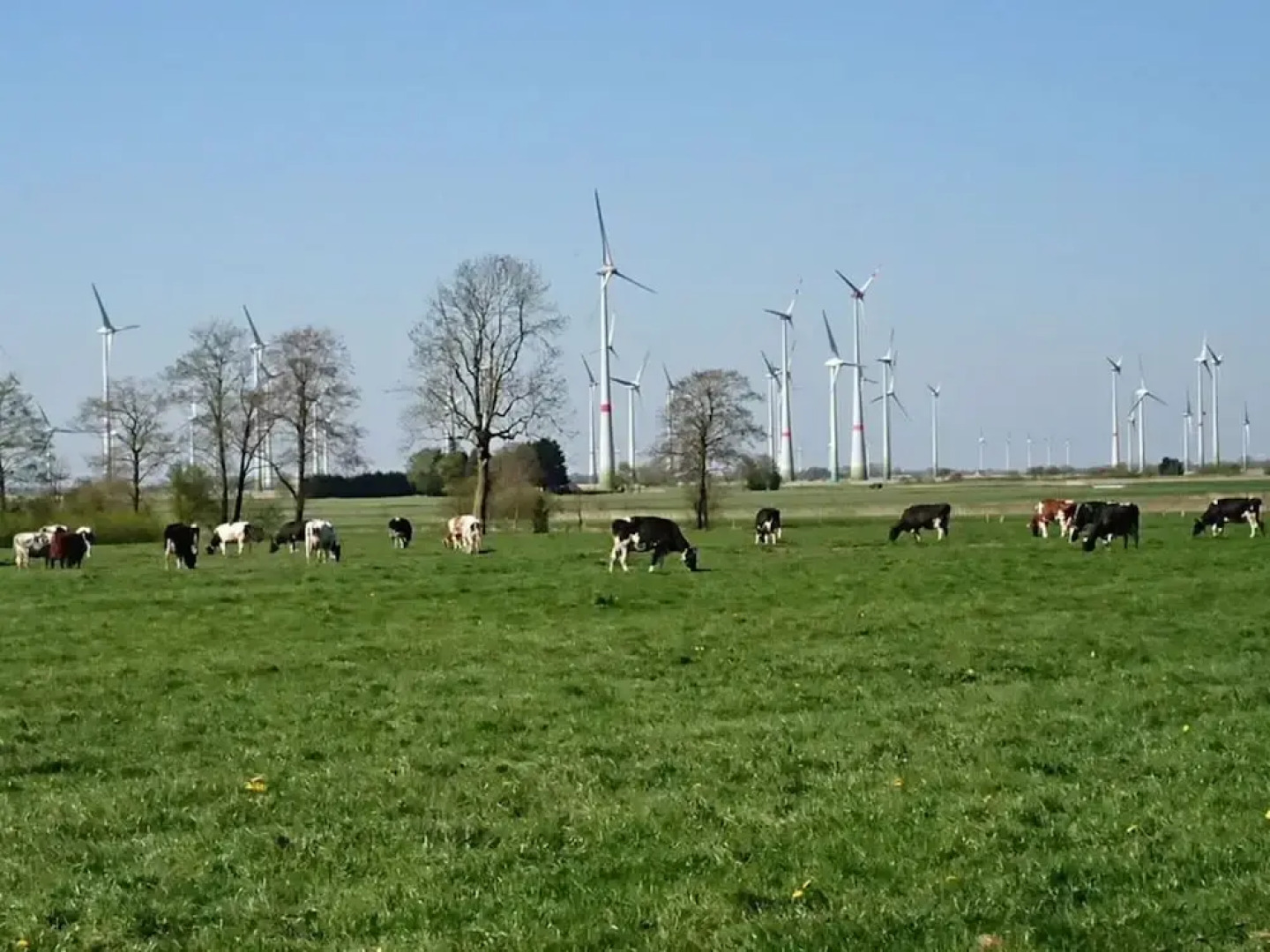 Coastal View of East Frisia