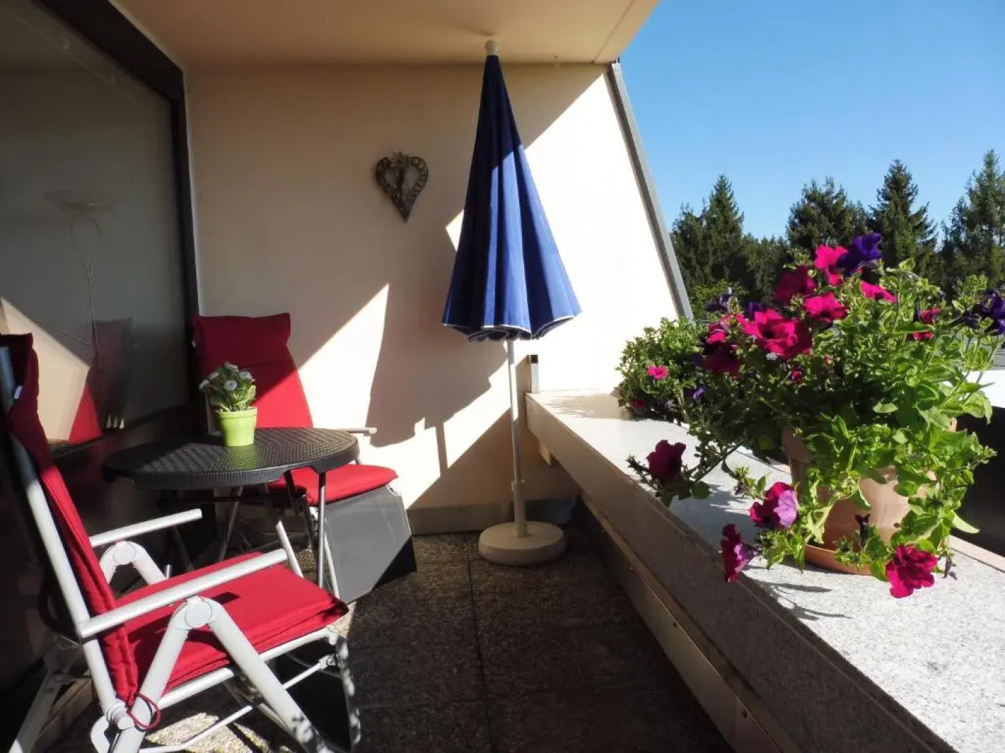 Komfortable Wohnungen Und Studio in Sankt Englmar