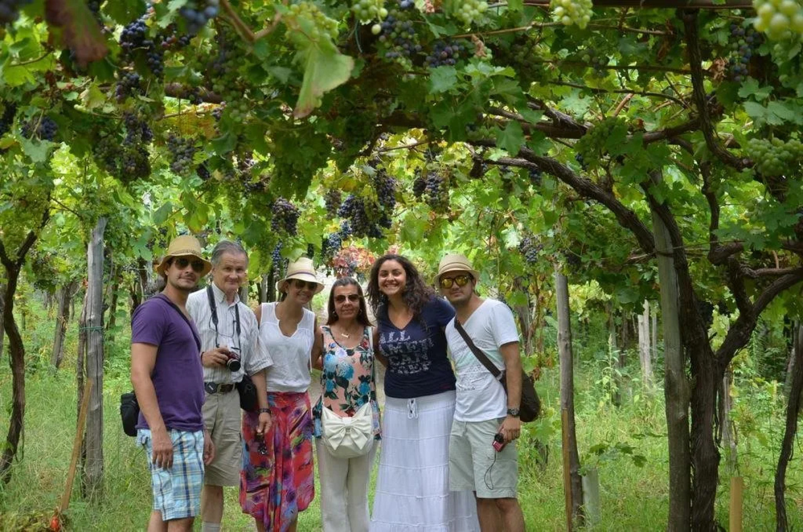 Sorrentino Vini Country House