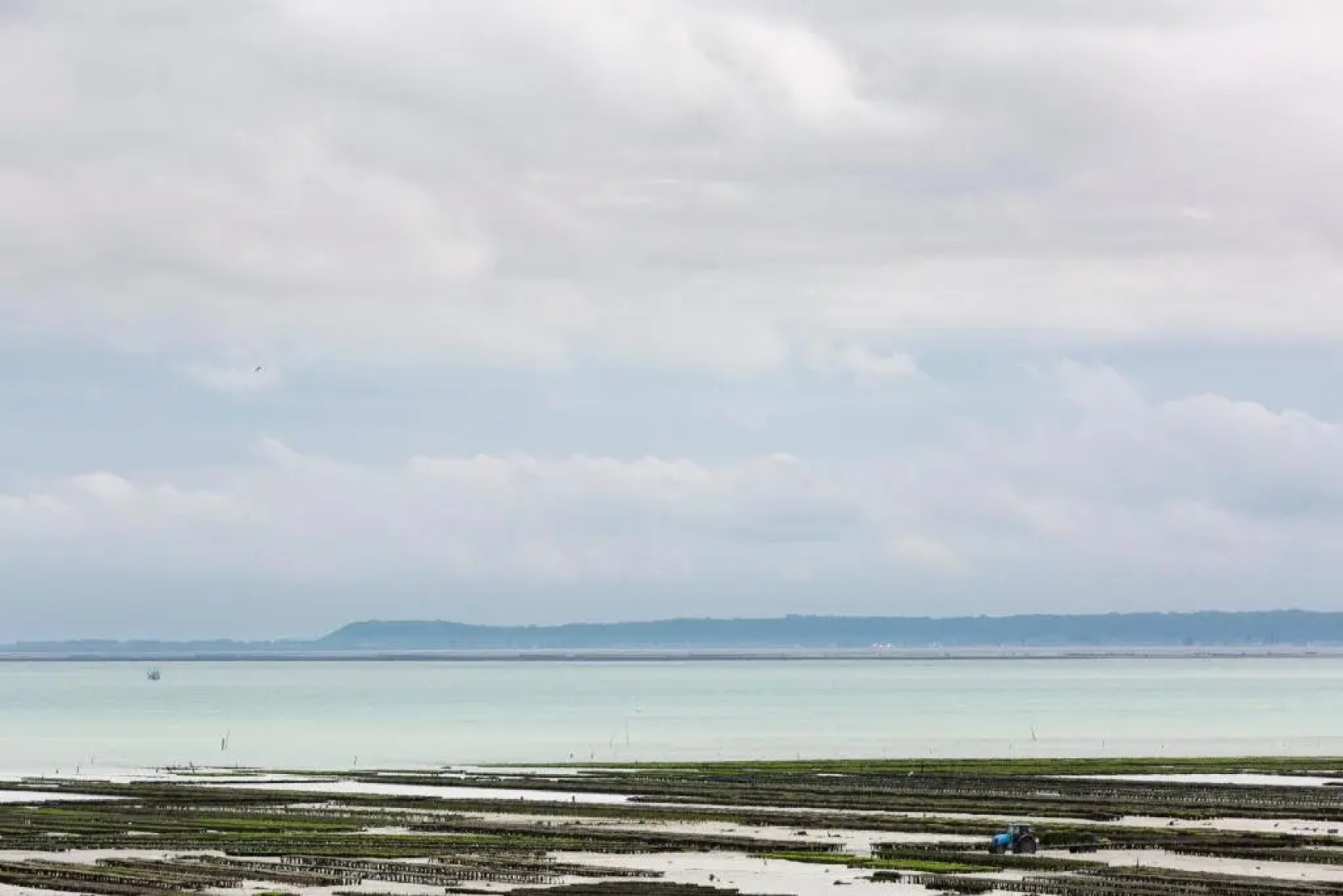 La Bisquine by Cocoonr