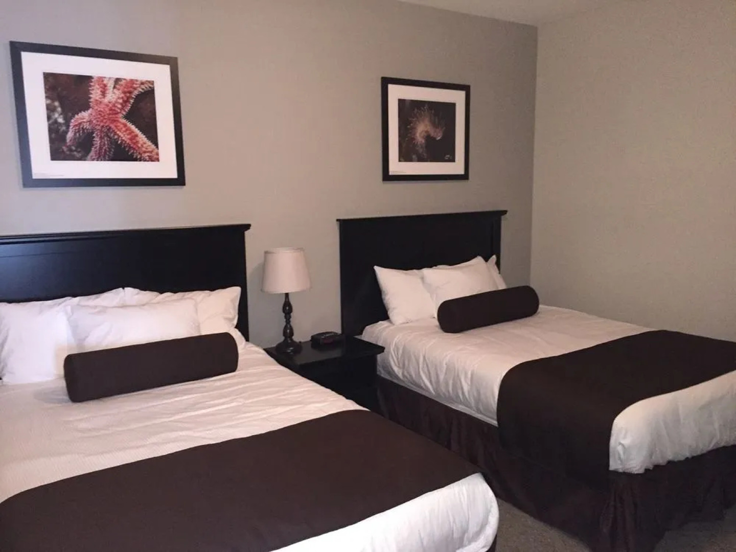 McNeills Inn on the Harbour Front