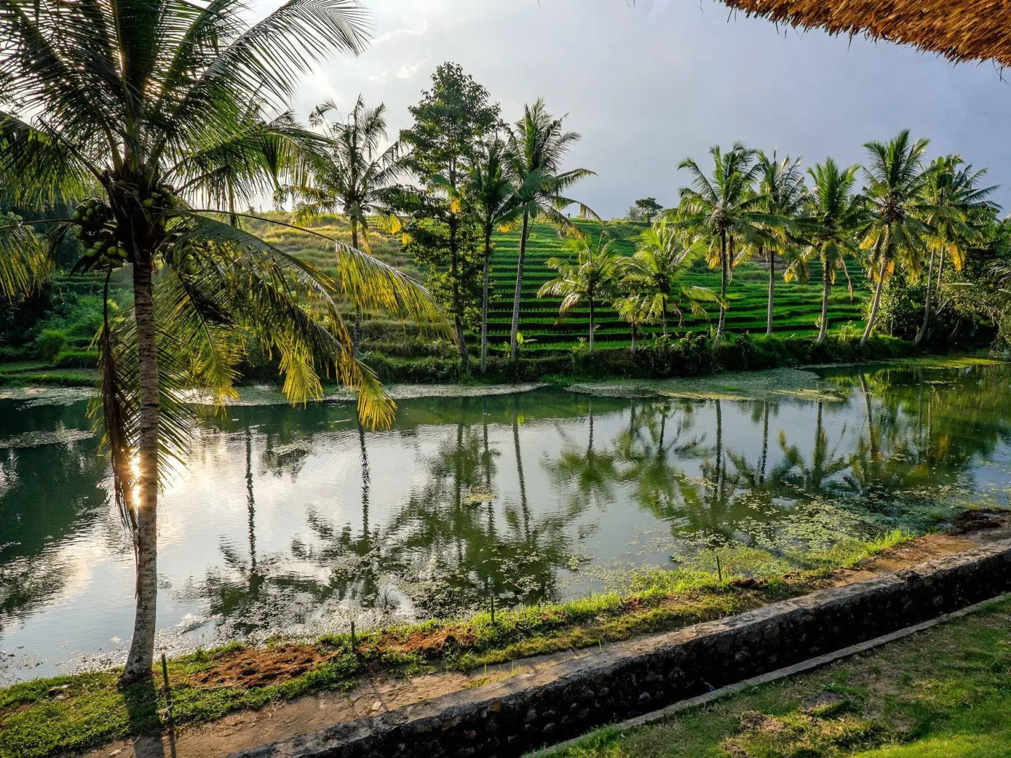 Alam Taman Villa