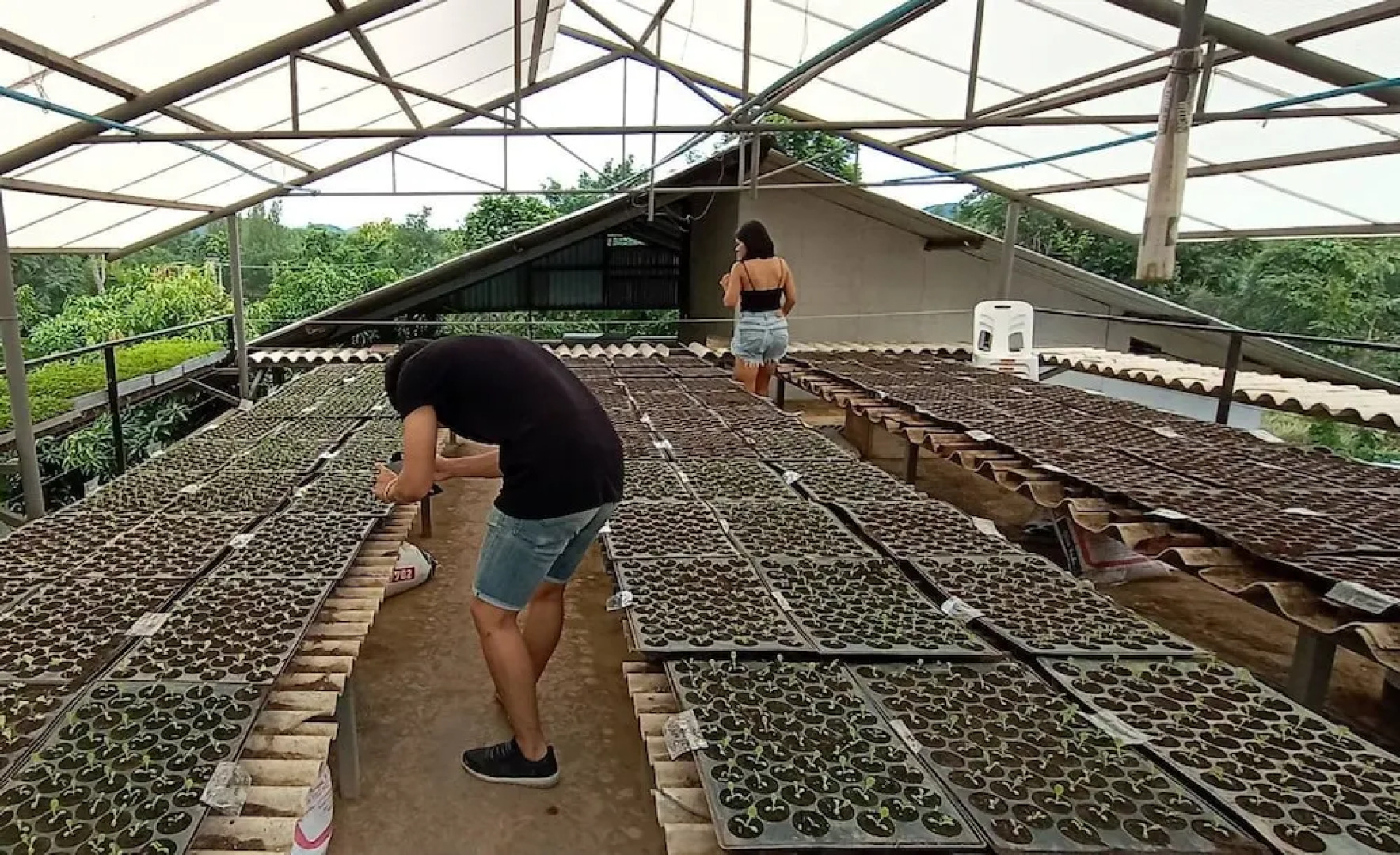 Kongkarn Bed & Farm Stay