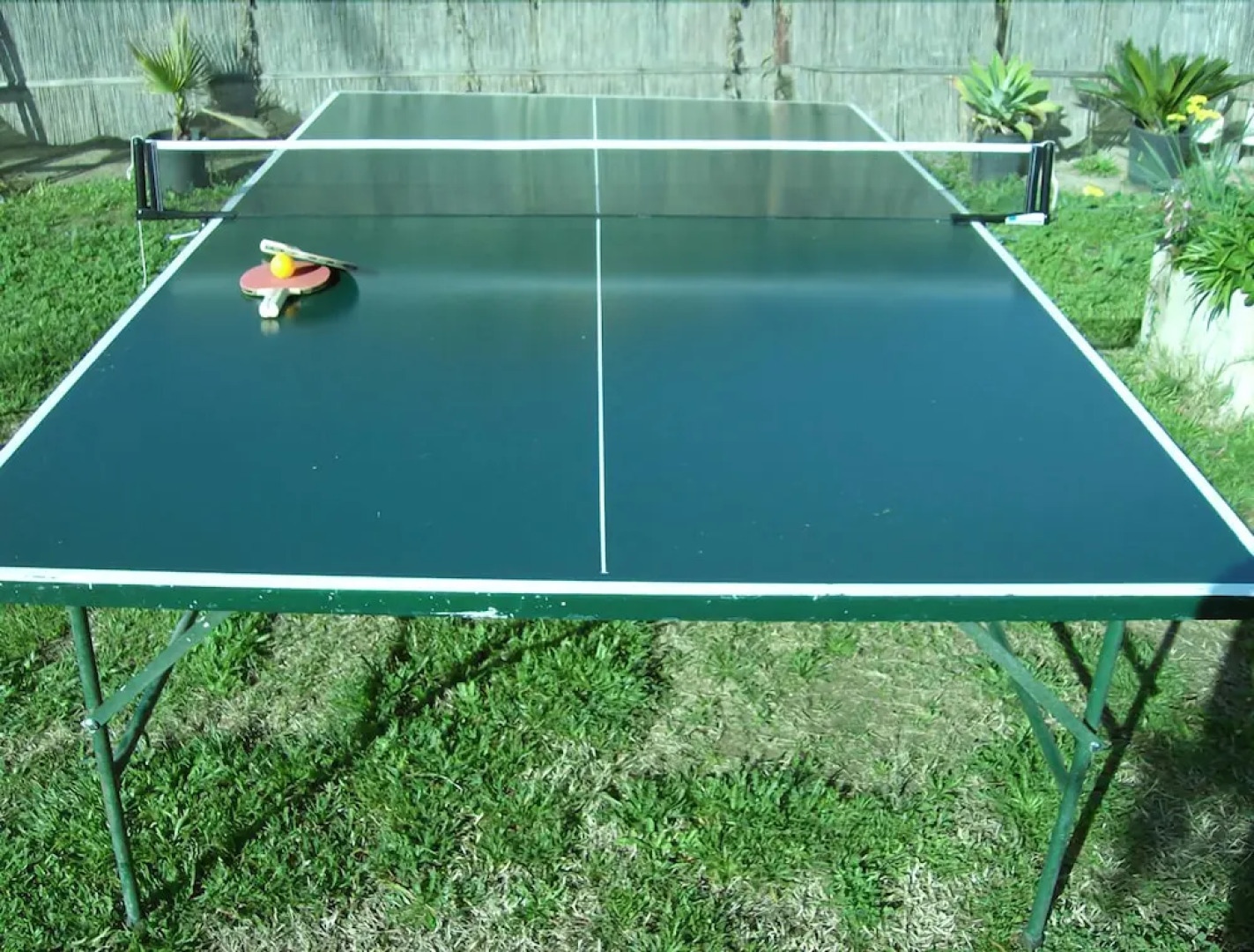 Free Zone Bed and Breakfast