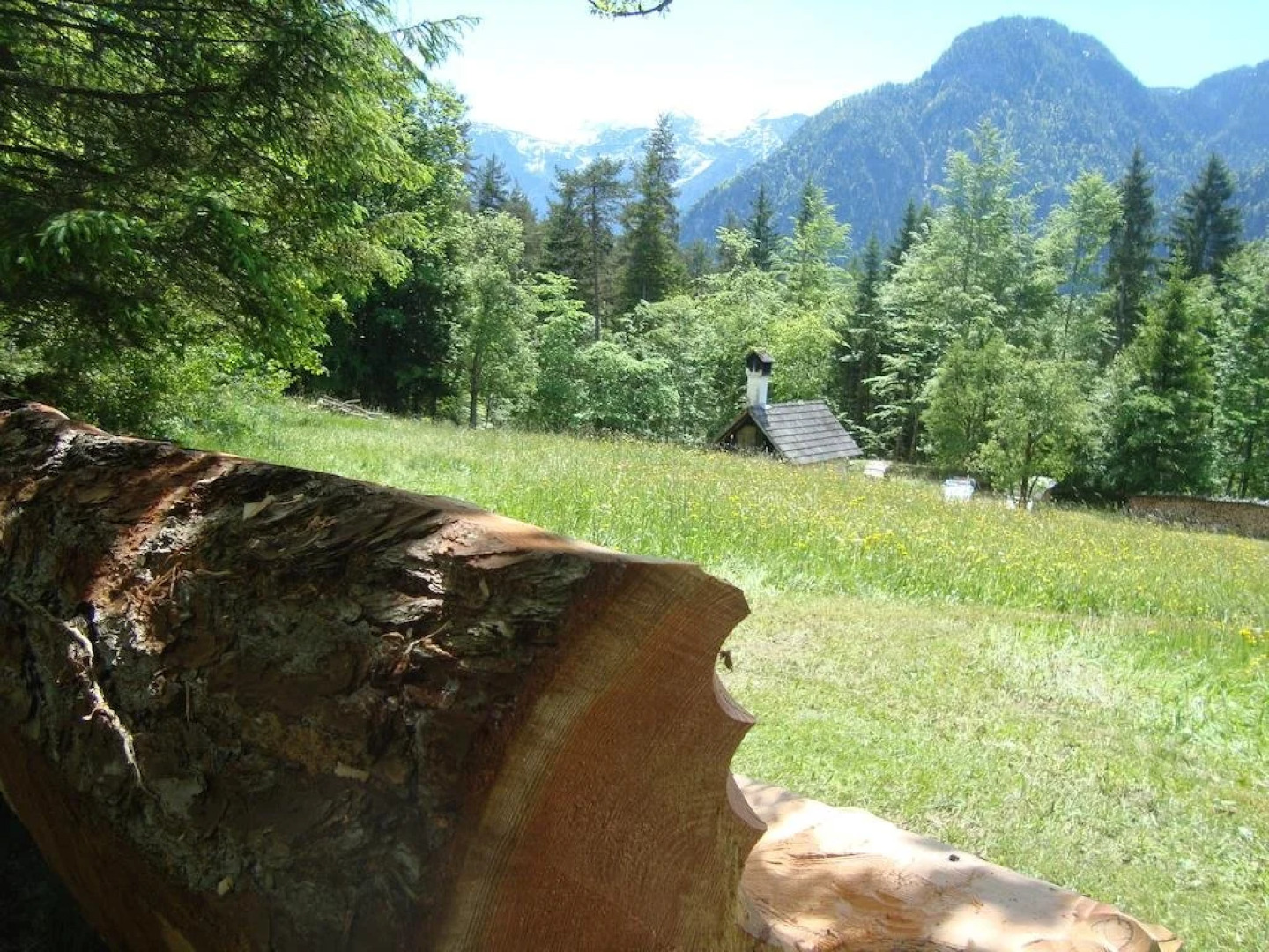 Ferienhaus Waldbankerl