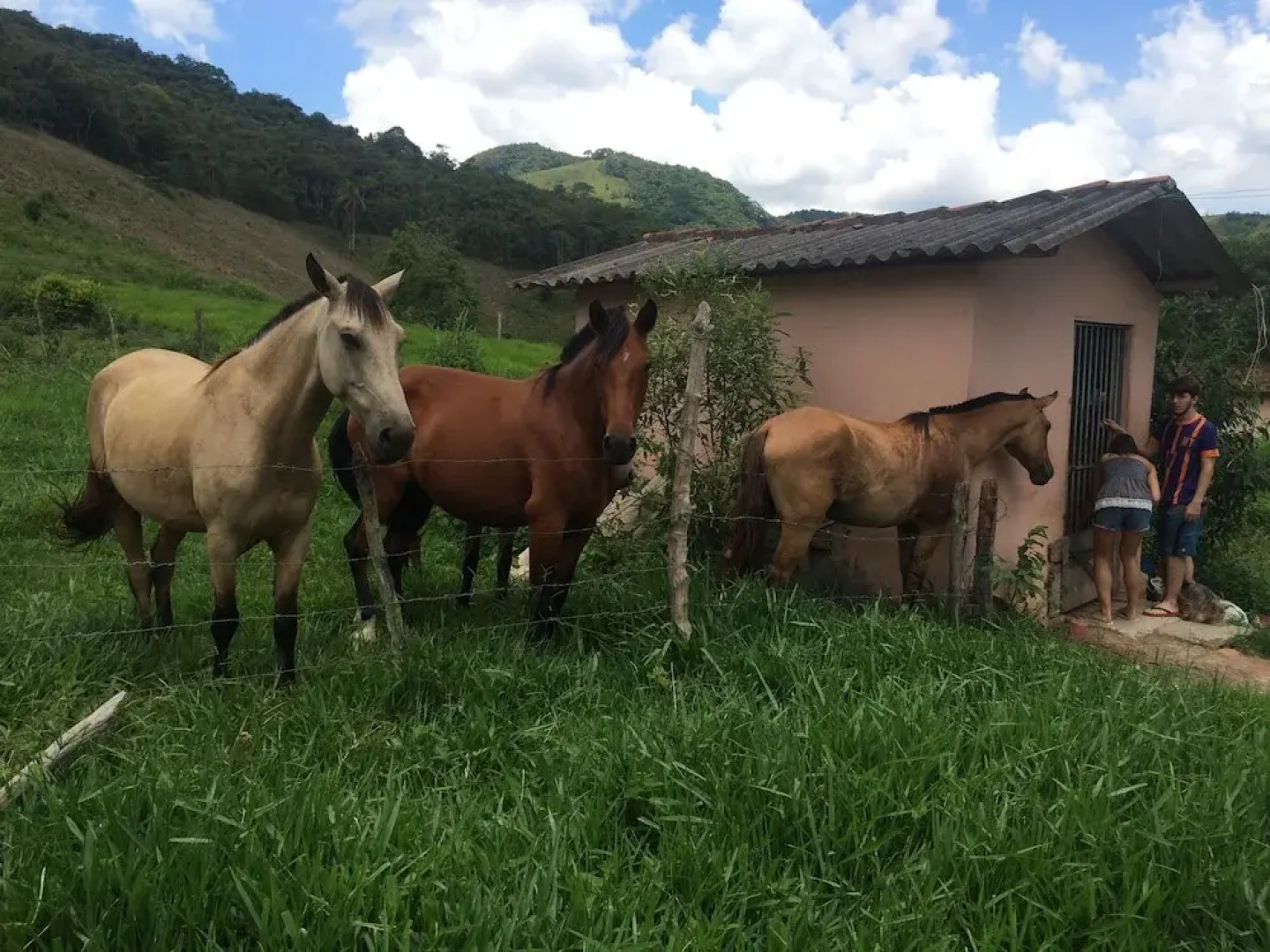 Pousada Fazenda Polyanna