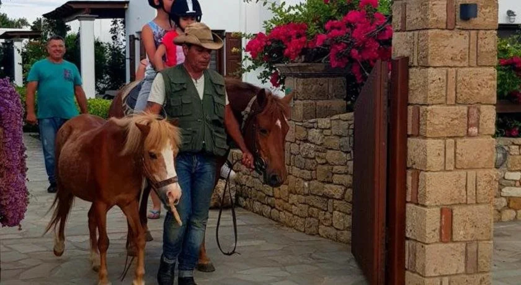 Anemonisia Skyrian Living