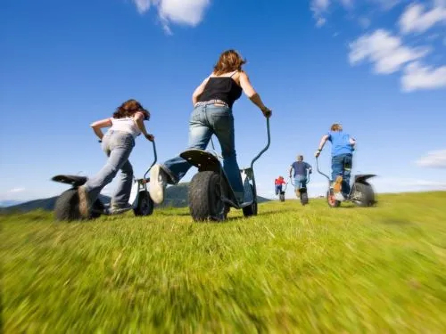 House Reich Hirschegg - Pack