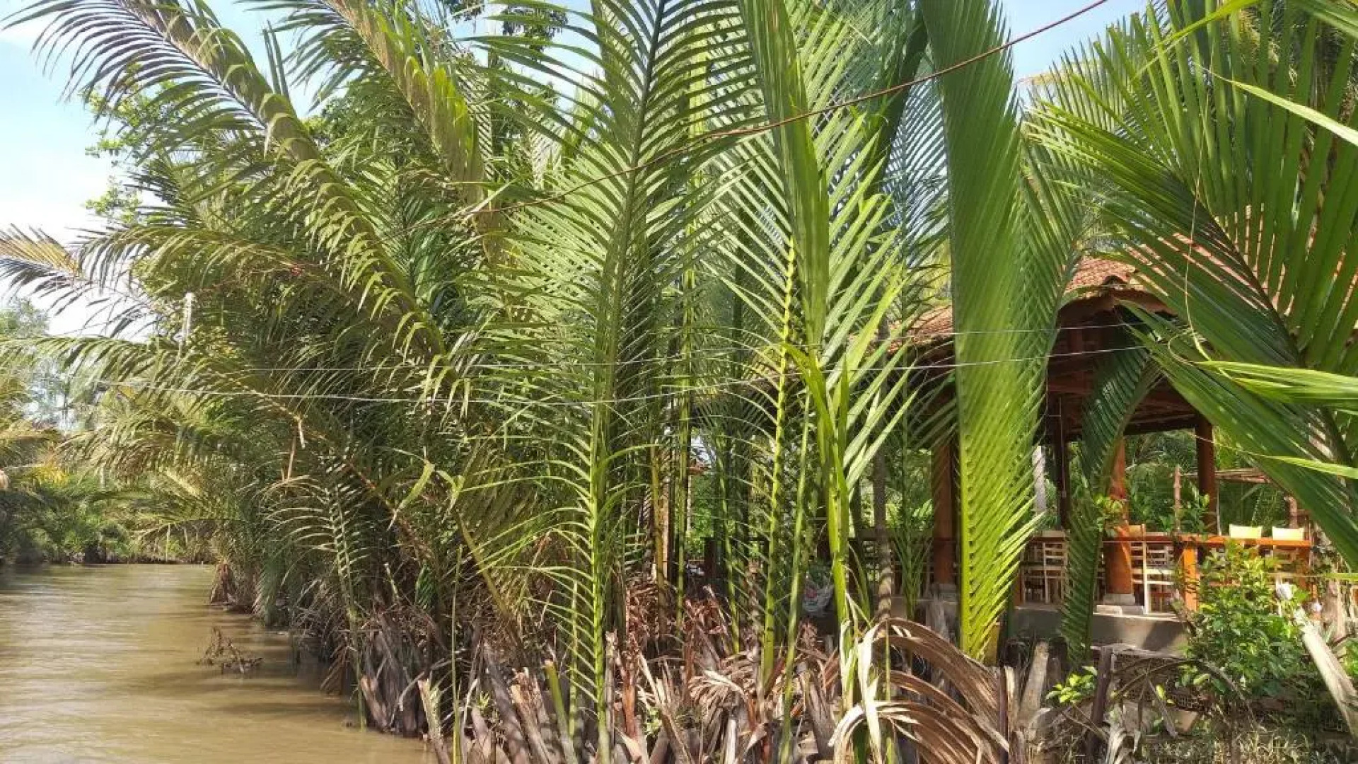 Homestay Xóm Dừa Nước