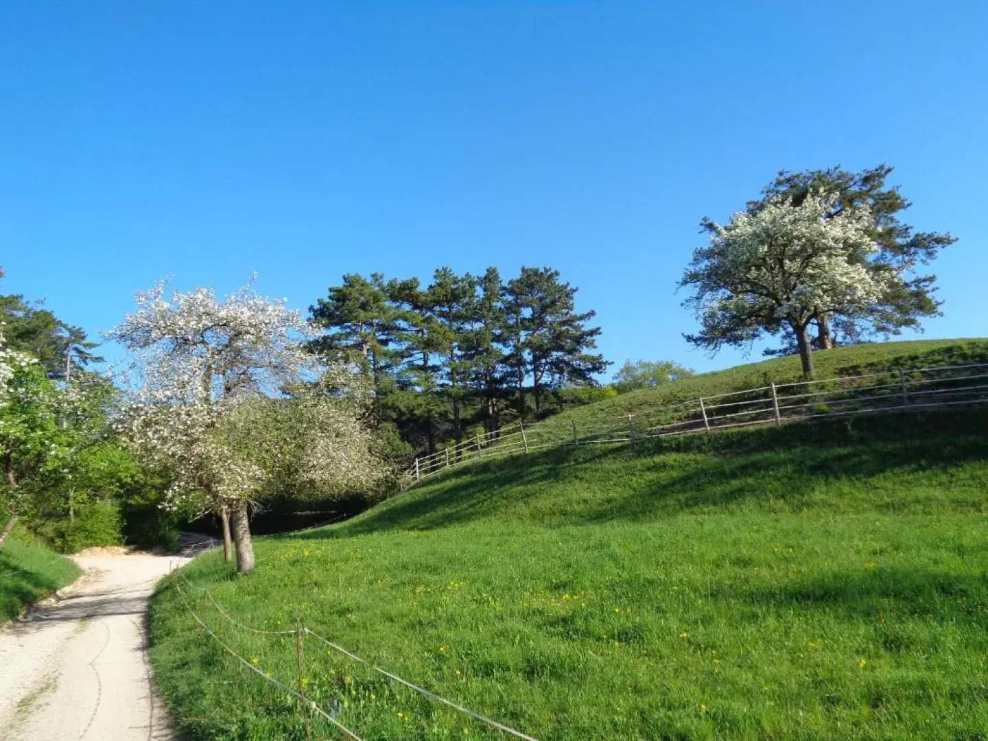 Apartments Himmelreich