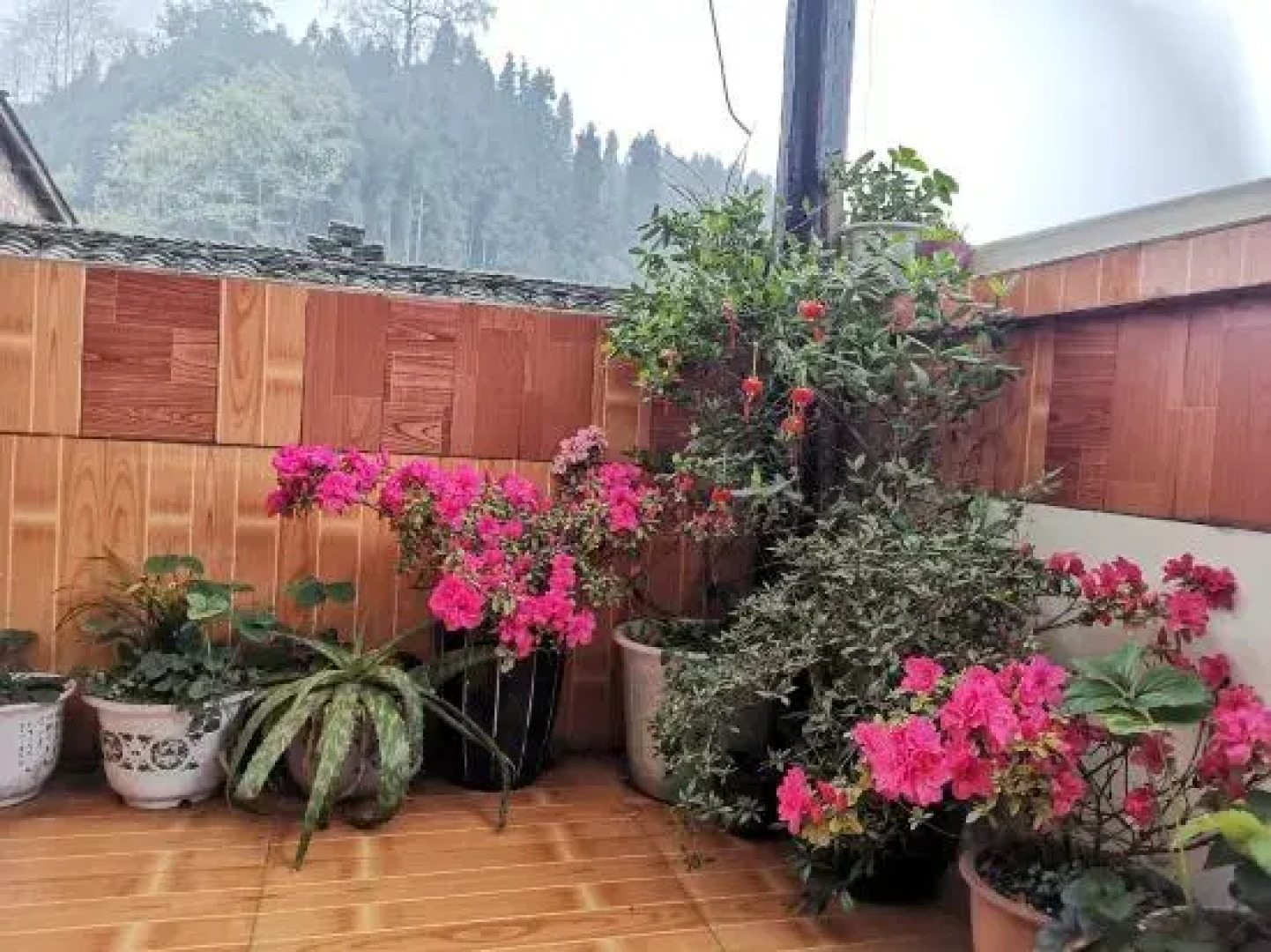 Ya'an Shangli Ancient Town Haojinglou Homestay