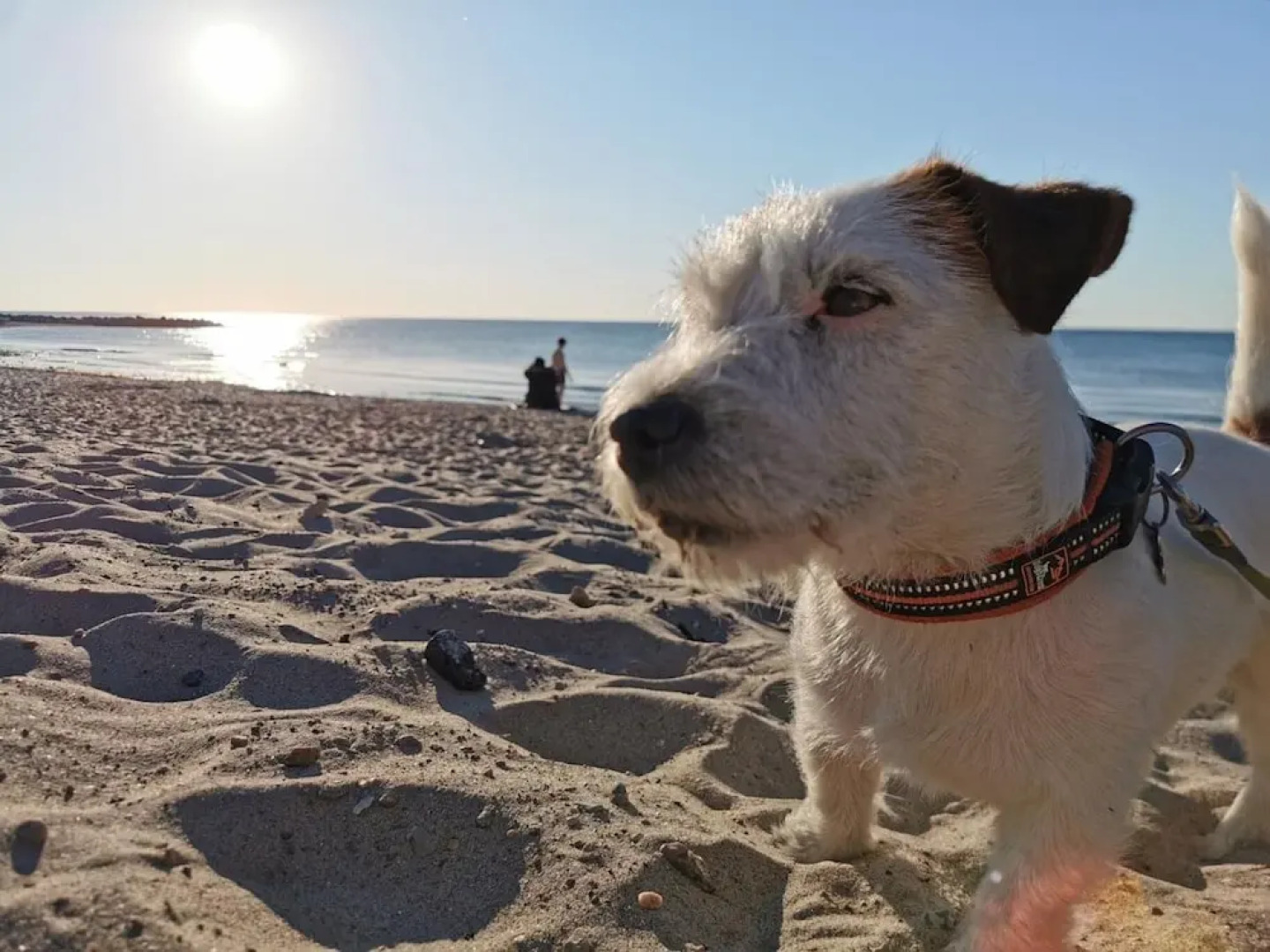 Hostel & Camping Frederiksværk City