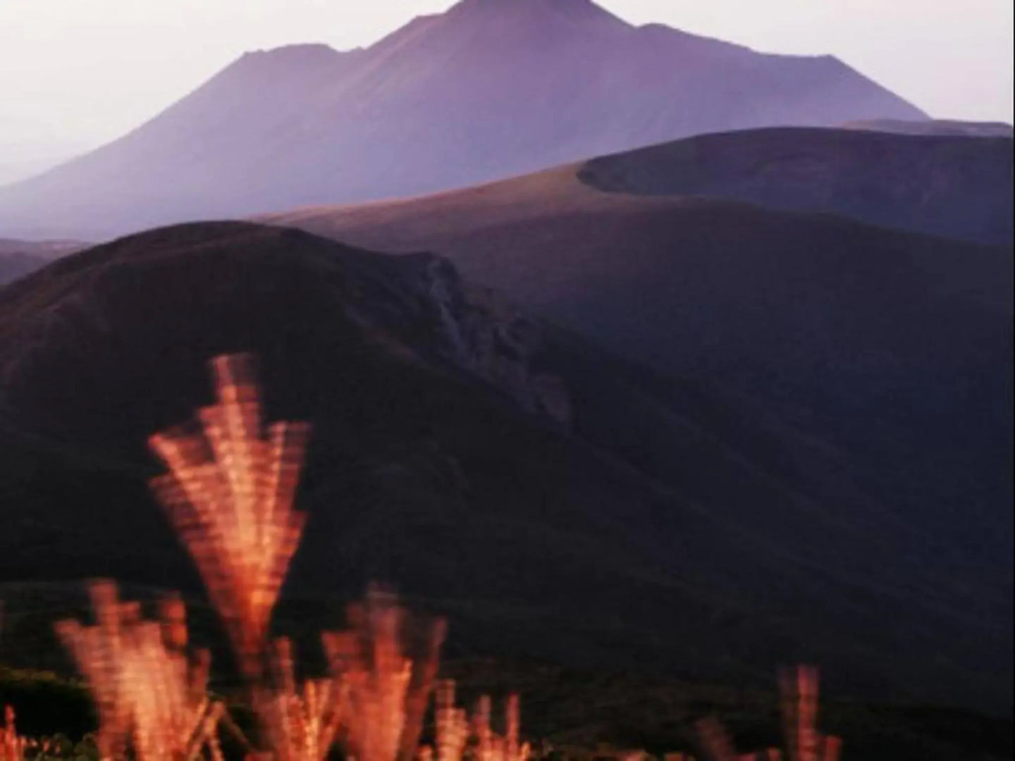 Kirishima Kanko Hotel